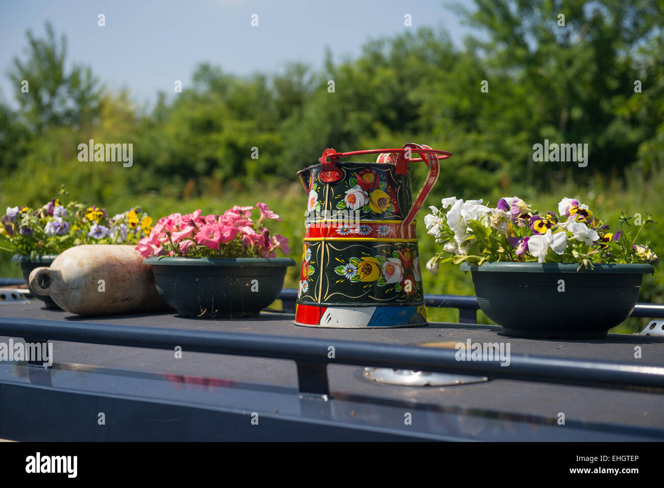 Rooftop Garden Stock Photo