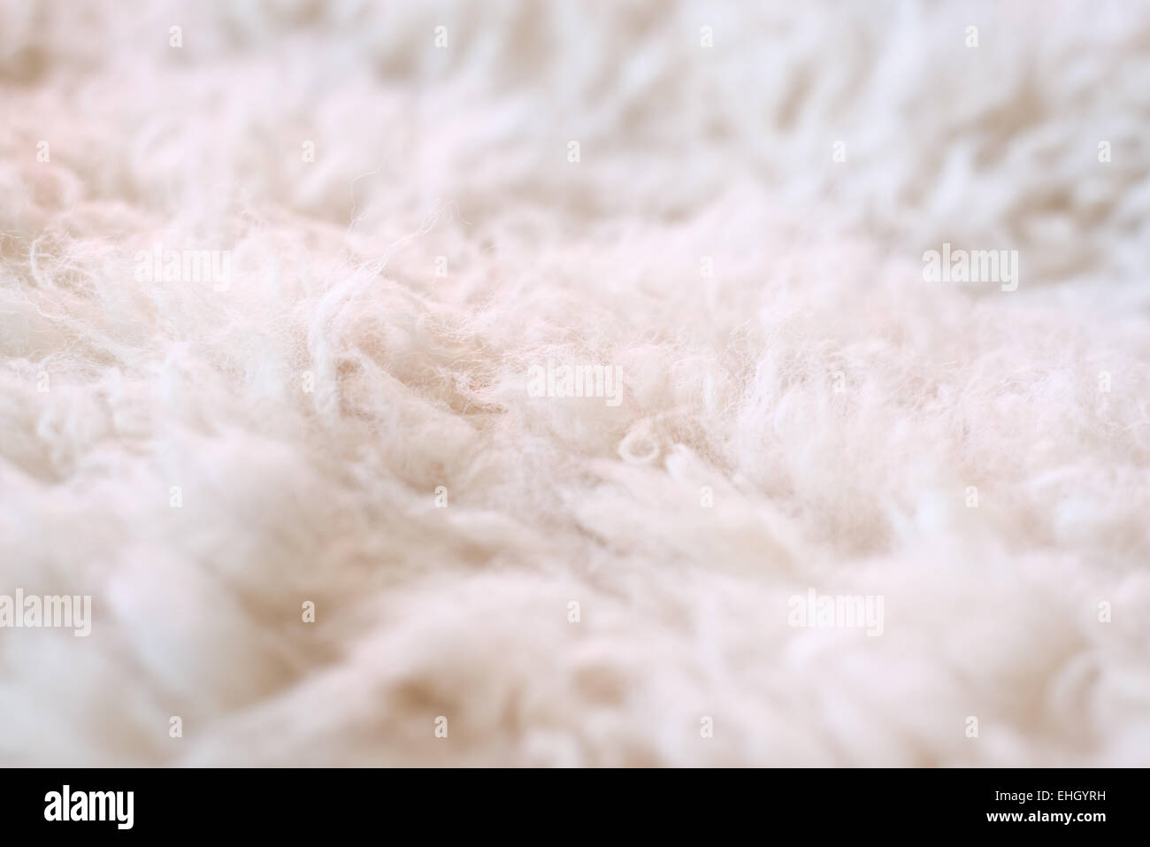White animal fur hi-res stock photography and images - Alamy