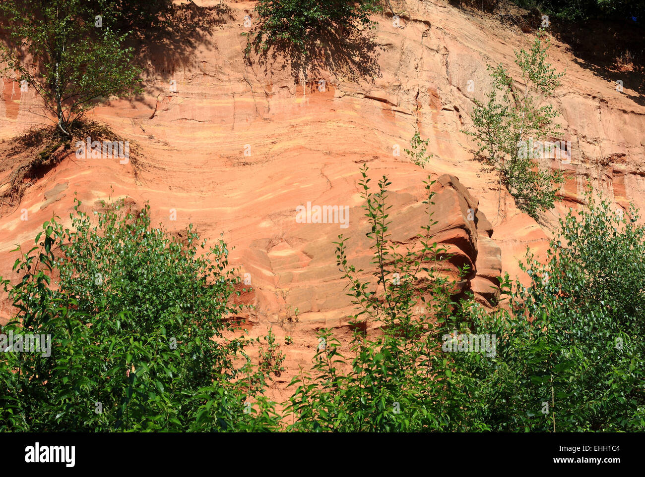 New red sandstone with trees in Saarland / Germany Stock Photo