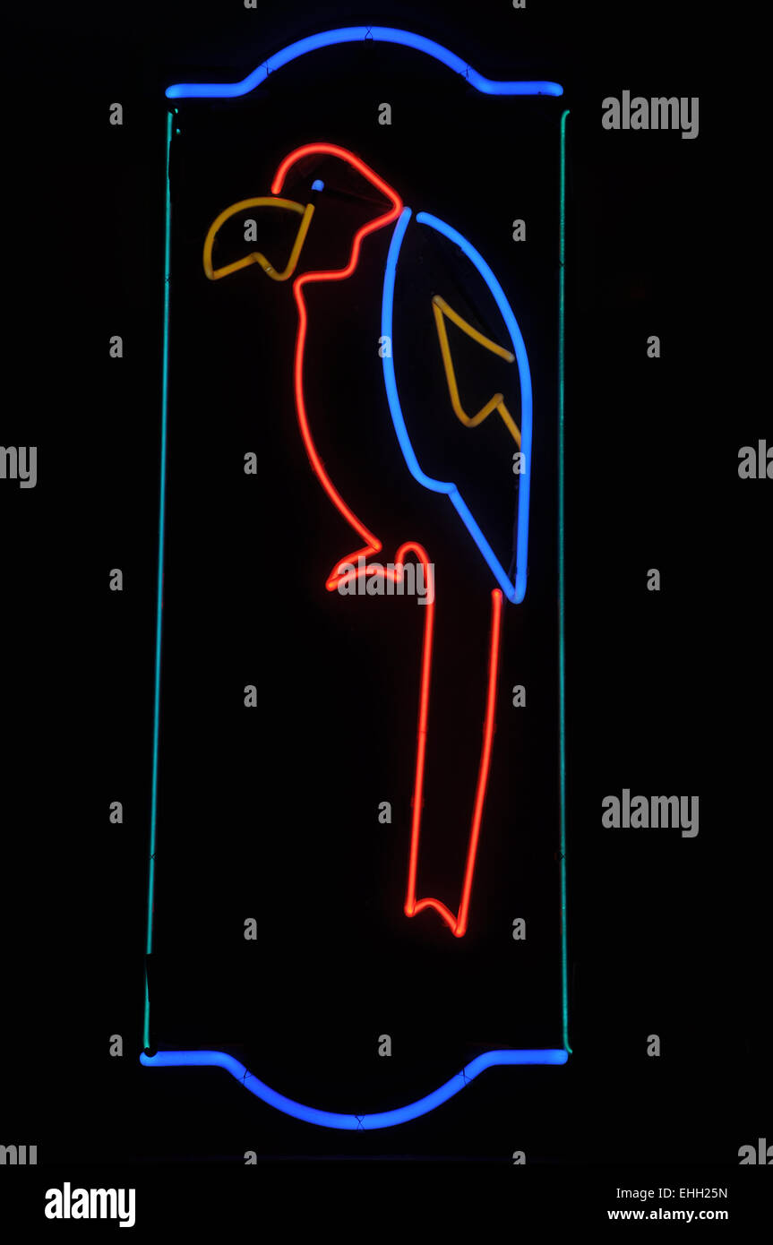 Parrot Neon Sign Stock Photo - Alamy