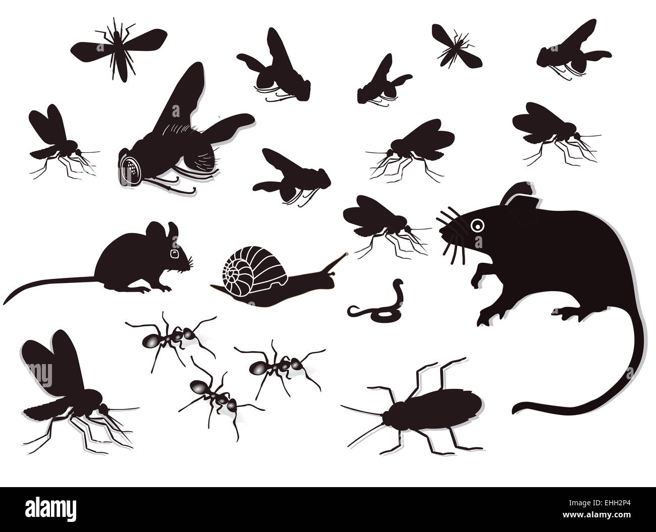 Pests and vermin Stock Photo