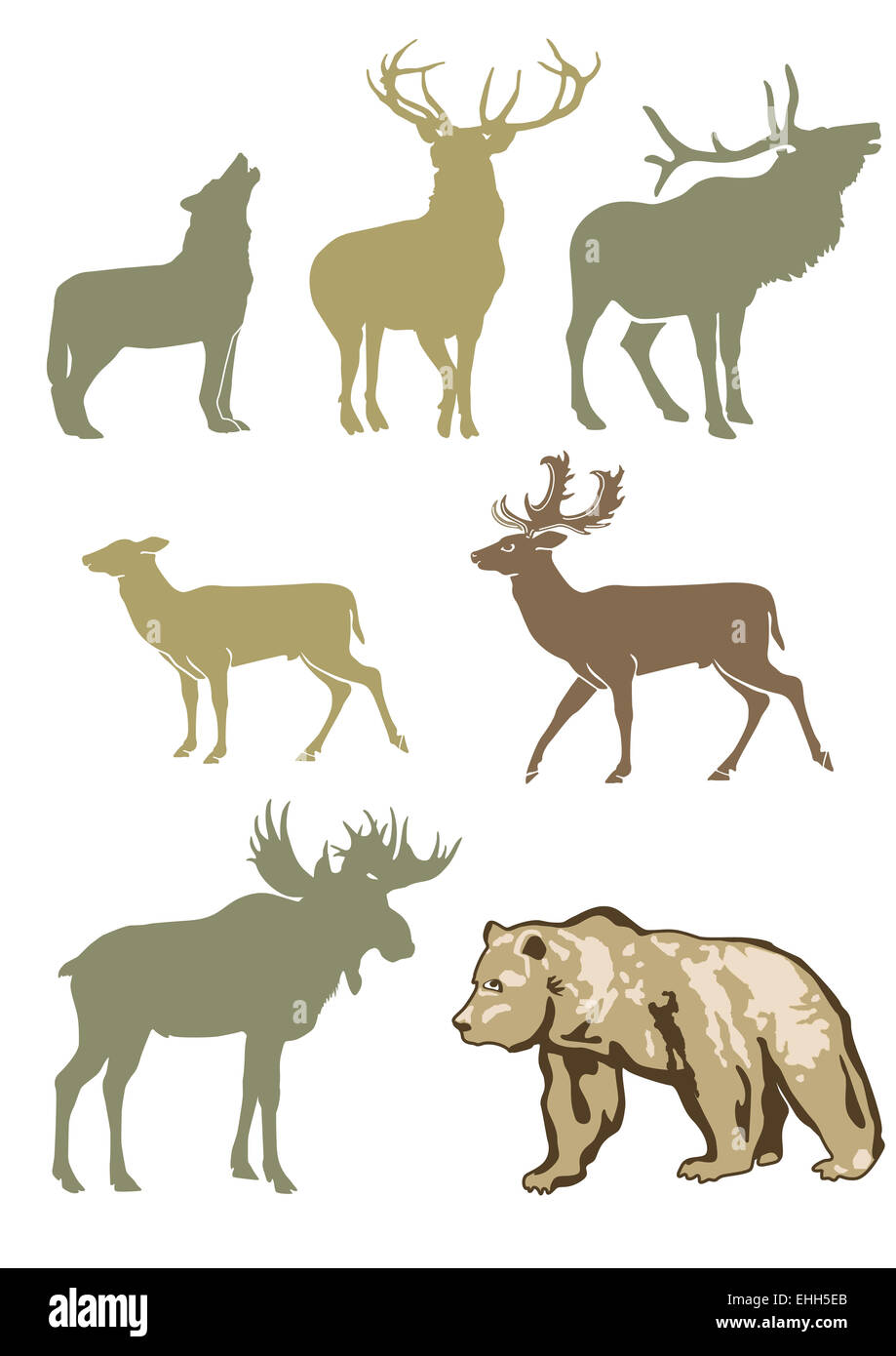 Forest Animals Stock Photo