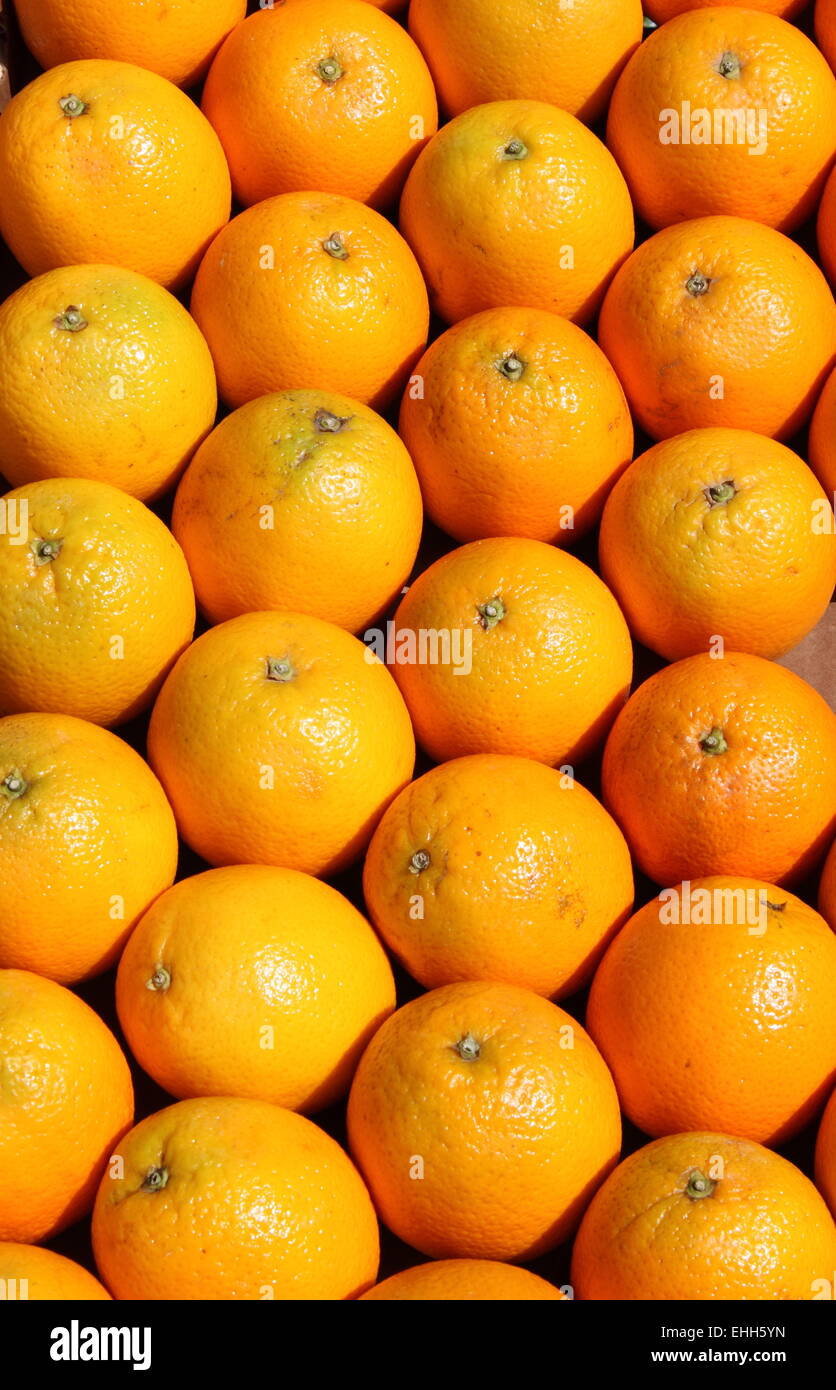 Lines of oranges hires stock photography and images Alamy