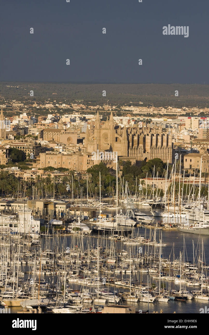 Harbour and cathedral , Palma de Majorca, S Stock Photo