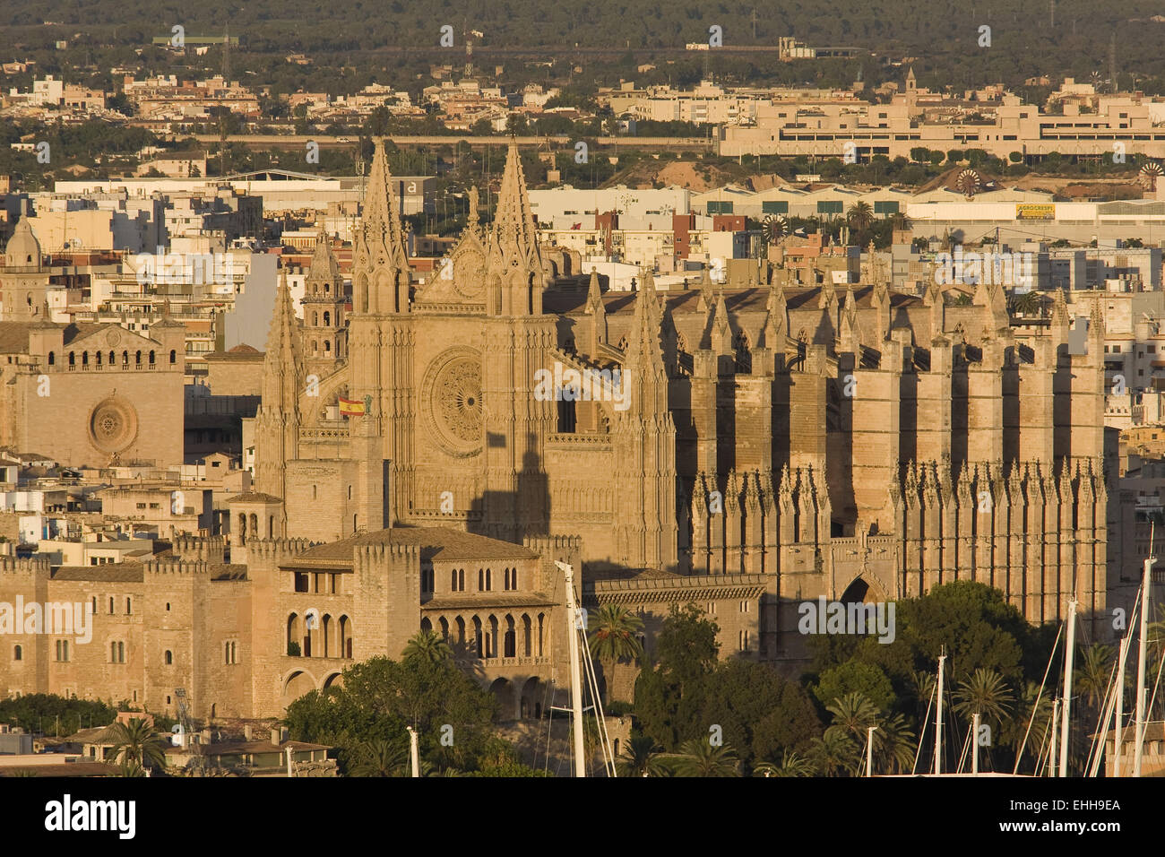 Harbour and cathedral  Palma de Majorca, S Stock Photo