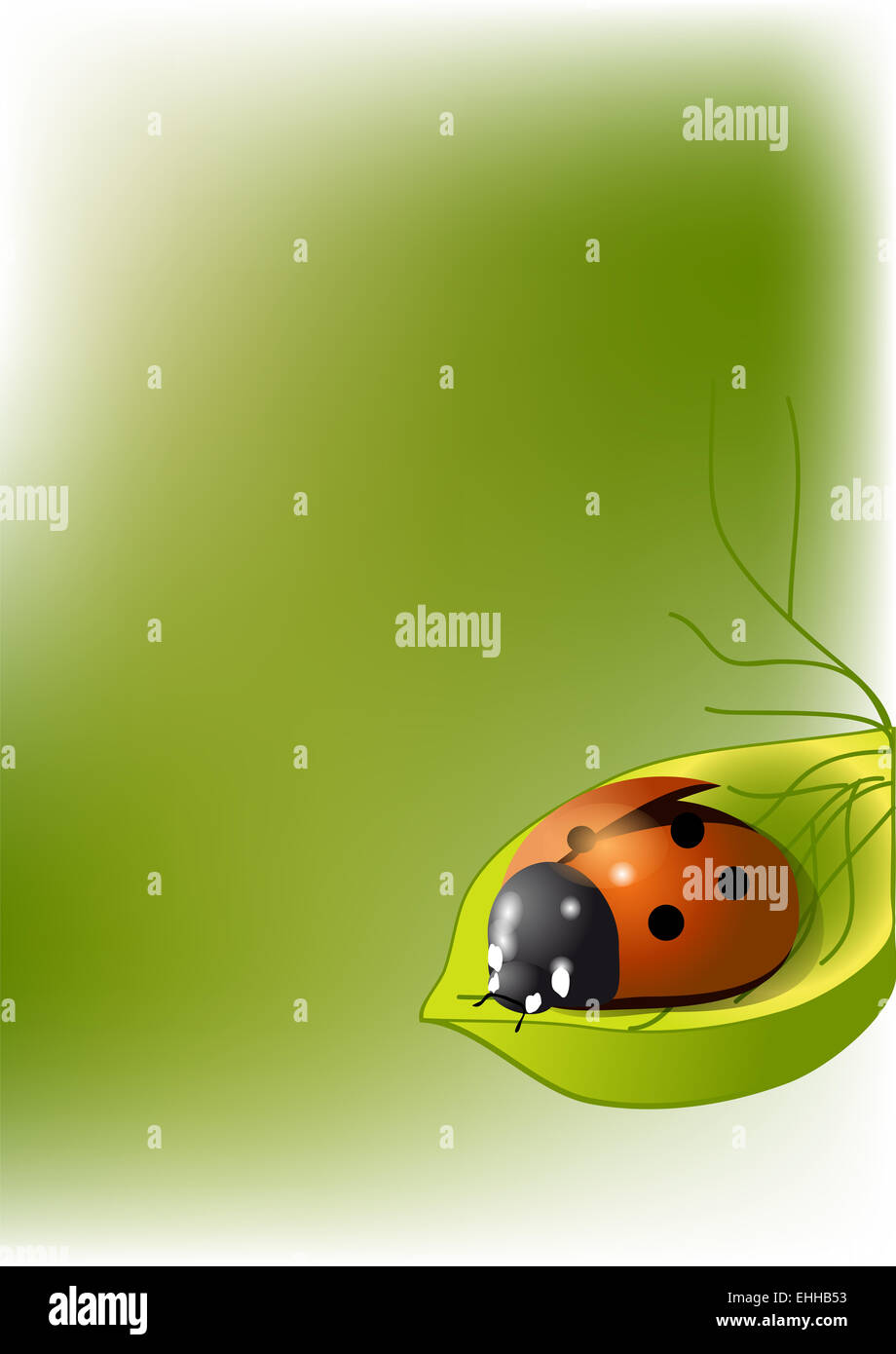 background with ladybug Stock Photo - Alamy