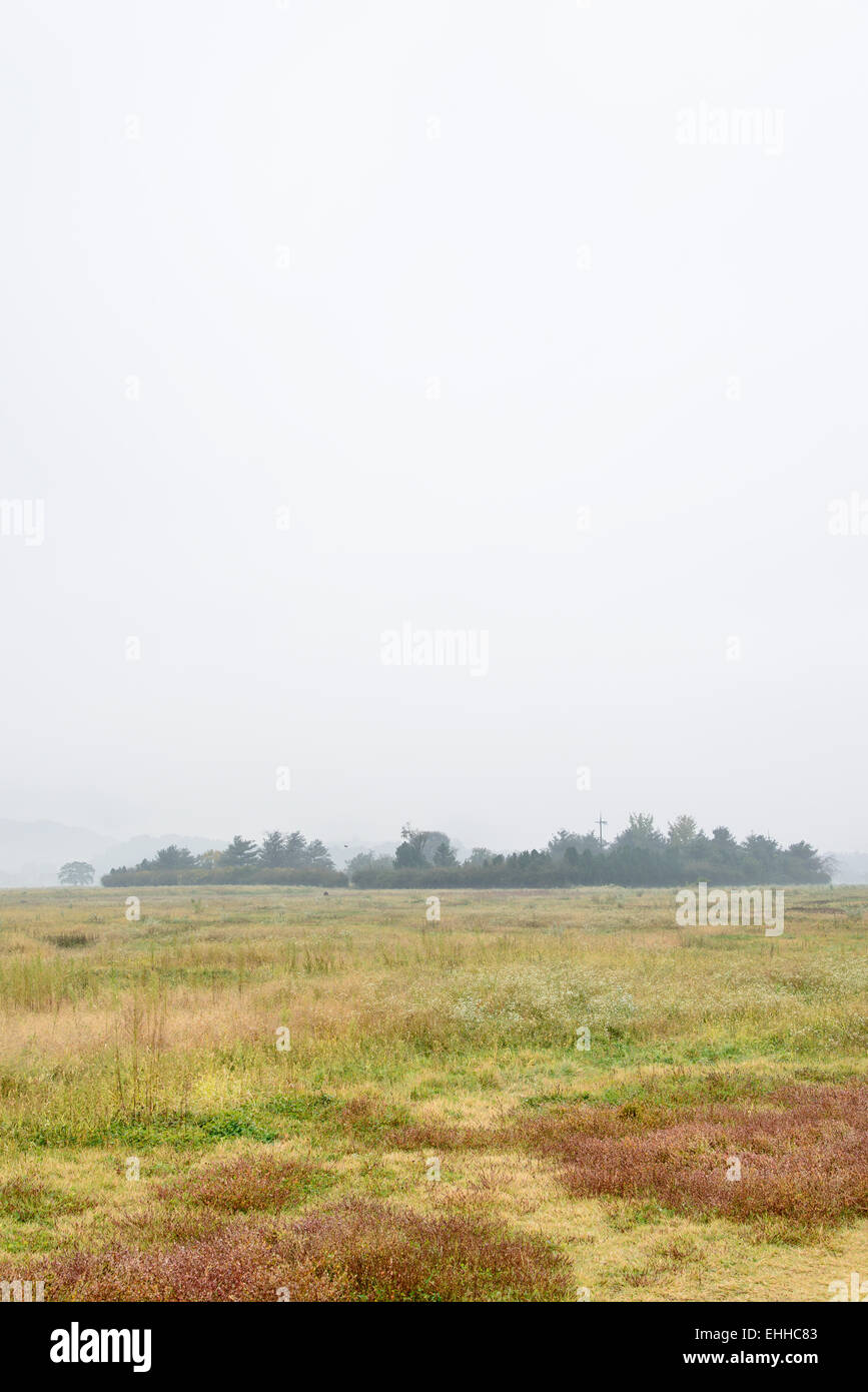 Green trees grass field hi-res stock photography and images - Alamy