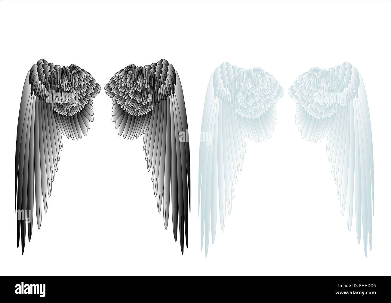 Black wings hi-res stock photography and images - Alamy