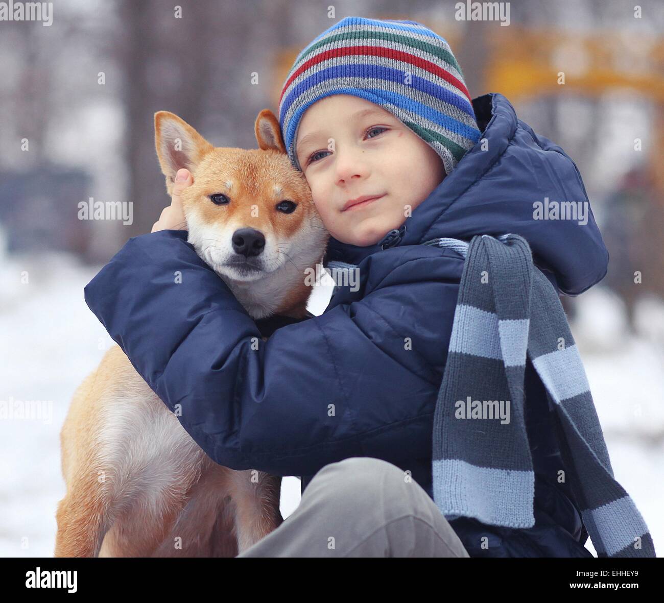 children and dogs concept of friendship loyalty Stock Photo - Alamy