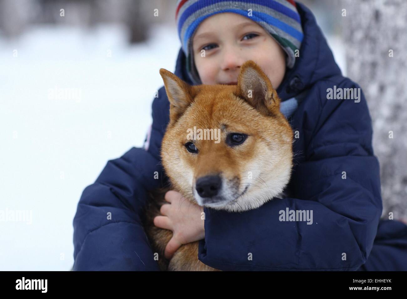 boy and a cute dog concept of friendship Stock Photo