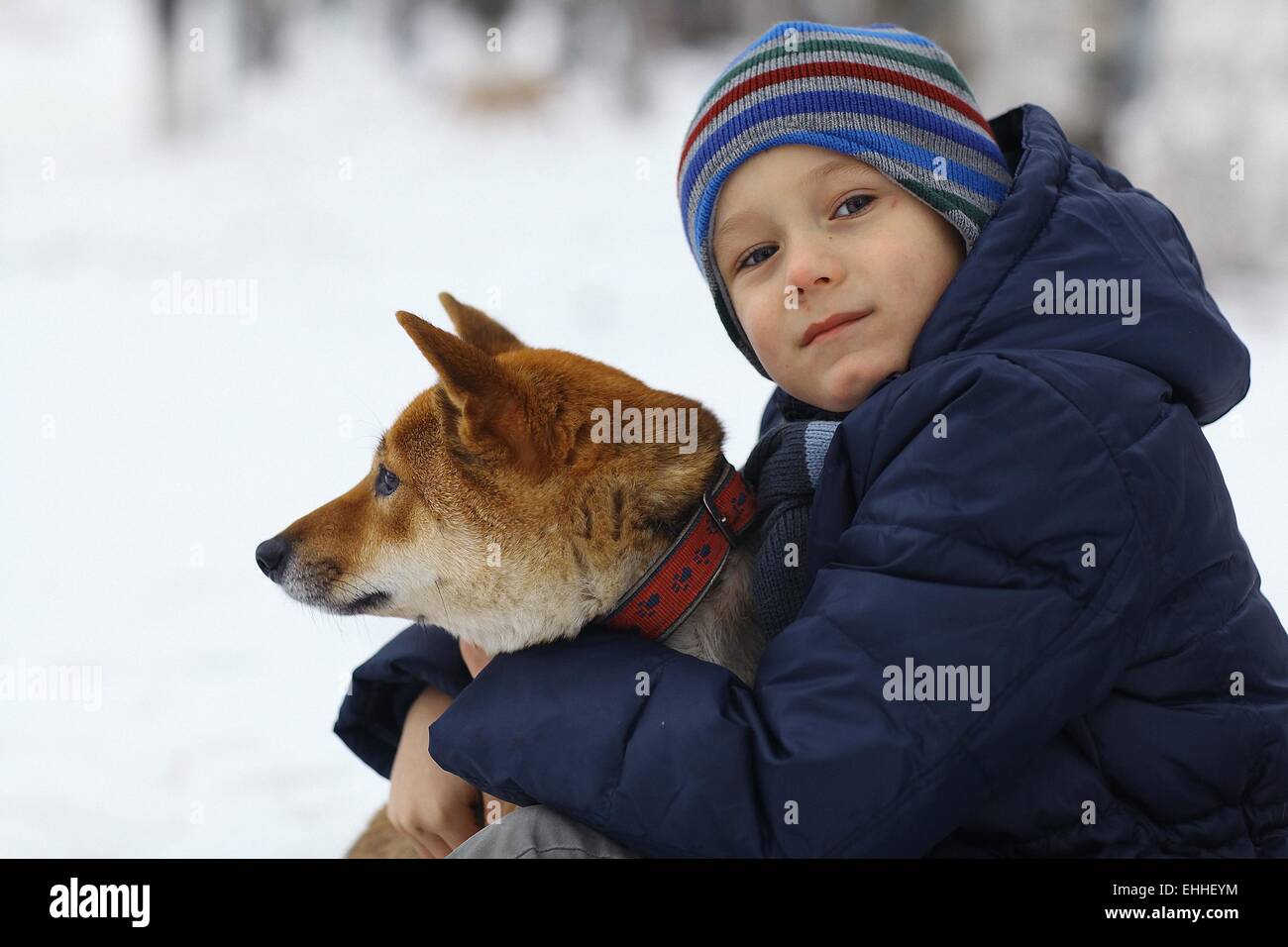 boy and a cute dog concept of friendship Stock Photo