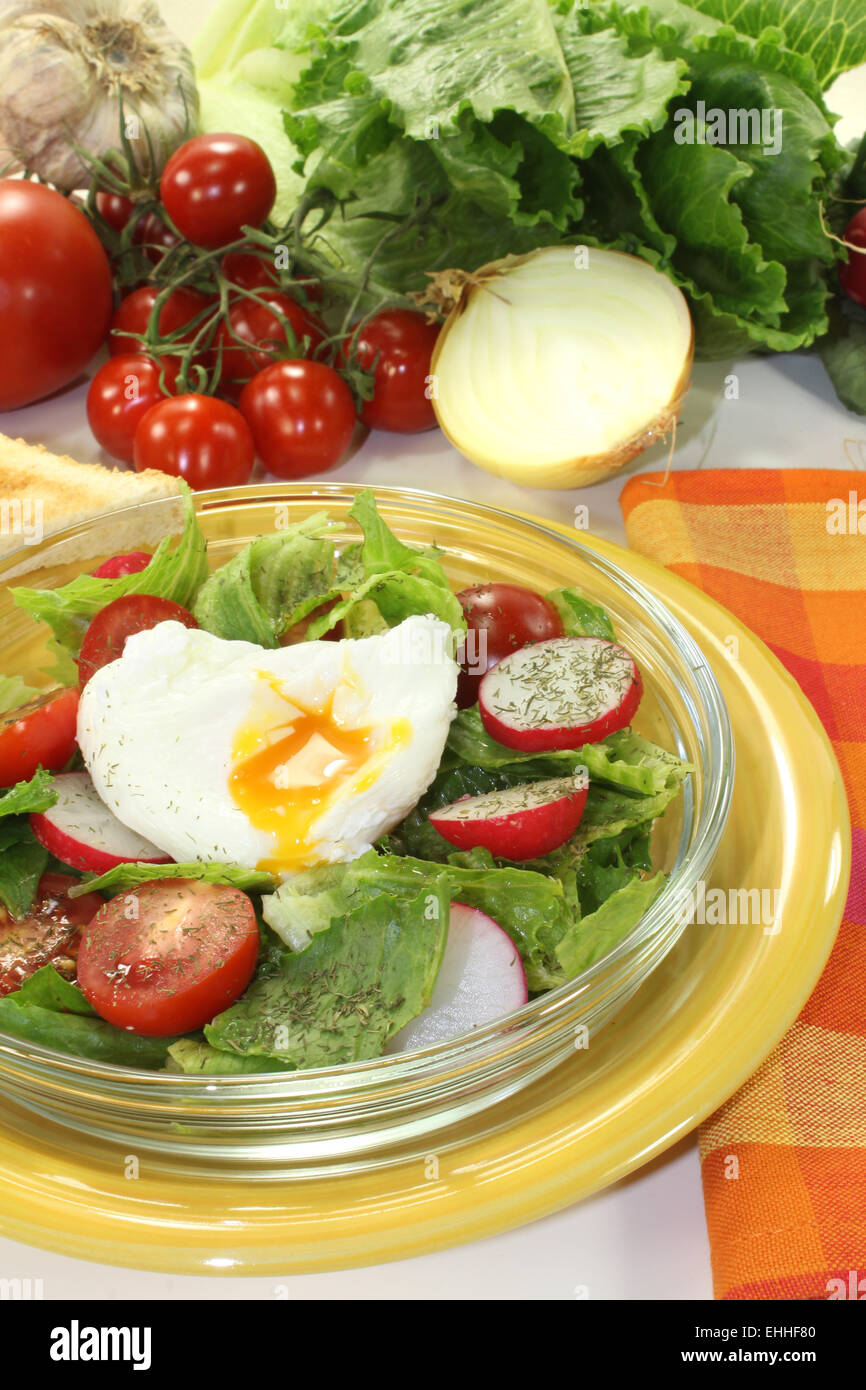 salad with poached egg and radishes Stock Photo