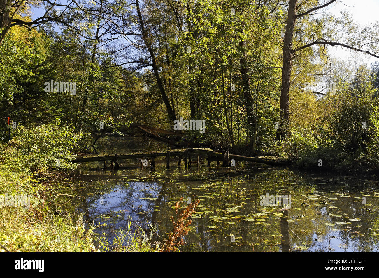 Georgsmarienhuette Stock Photos Georgsmarienhuette Stock Images