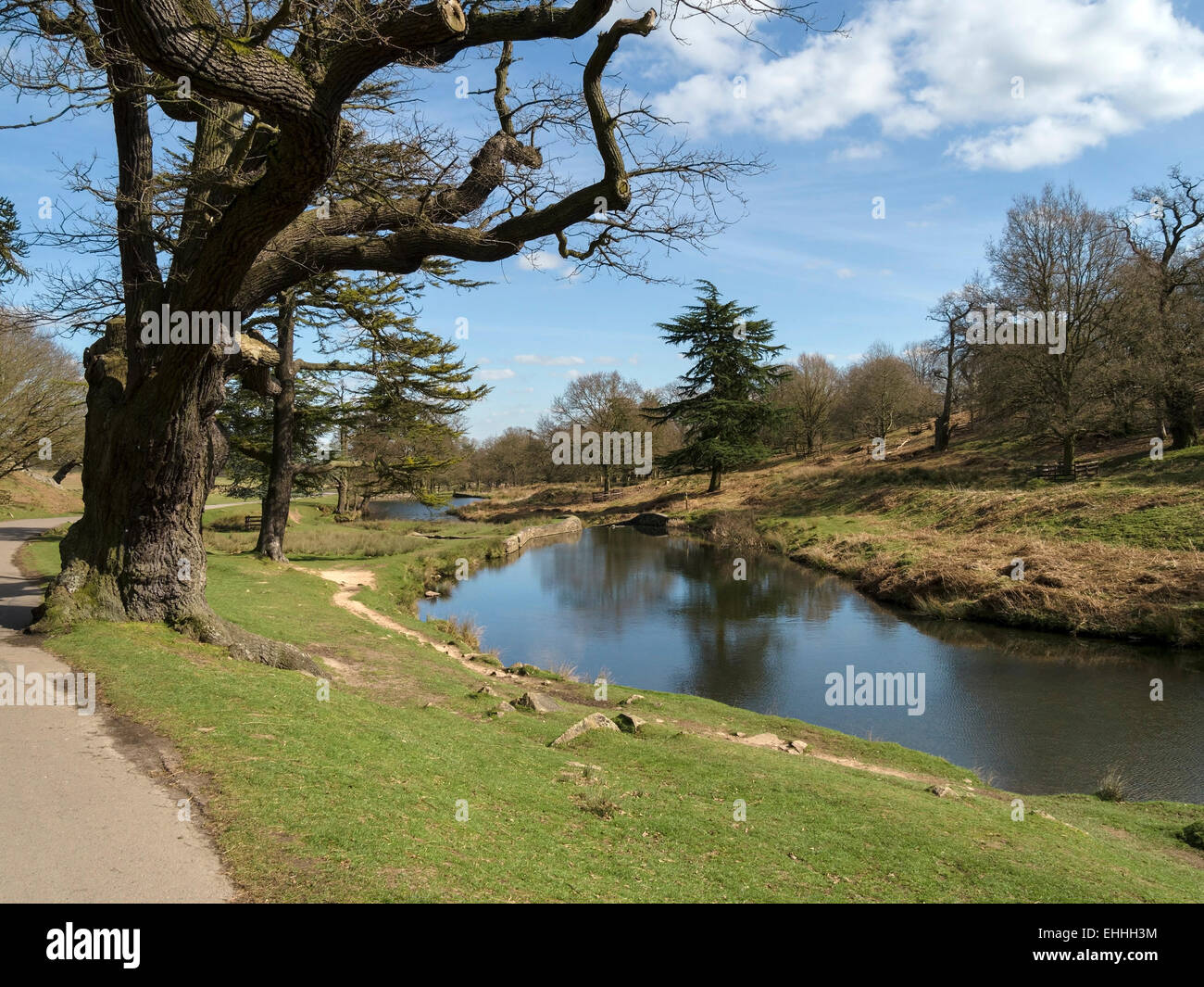 River Lin and trees, Bradgate Park, Charnwood, Leicestershire, England, UK Stock Photo