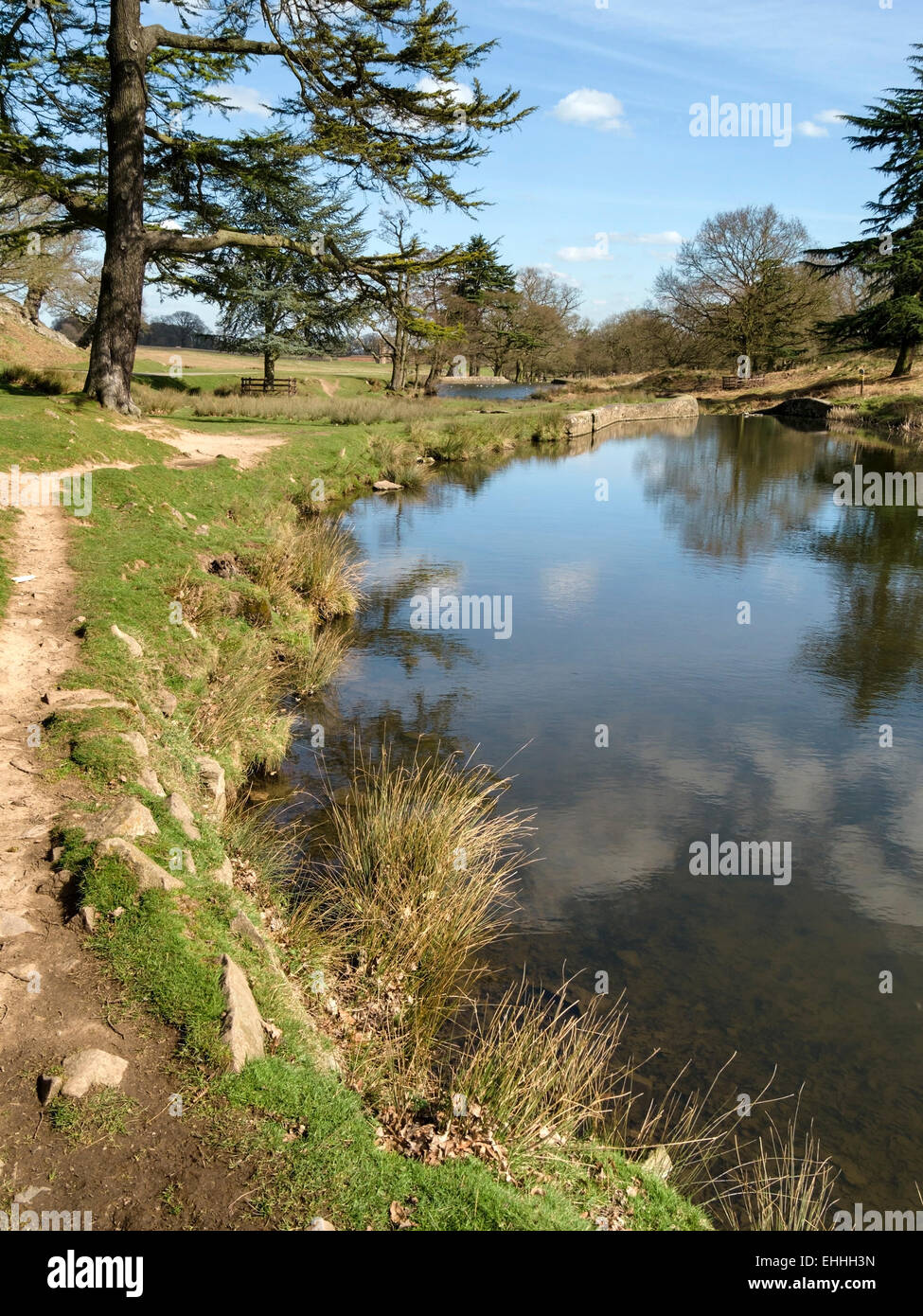 River Lin and trees, Bradgate Park, Charnwood, Leicestershire, England, UK Stock Photo