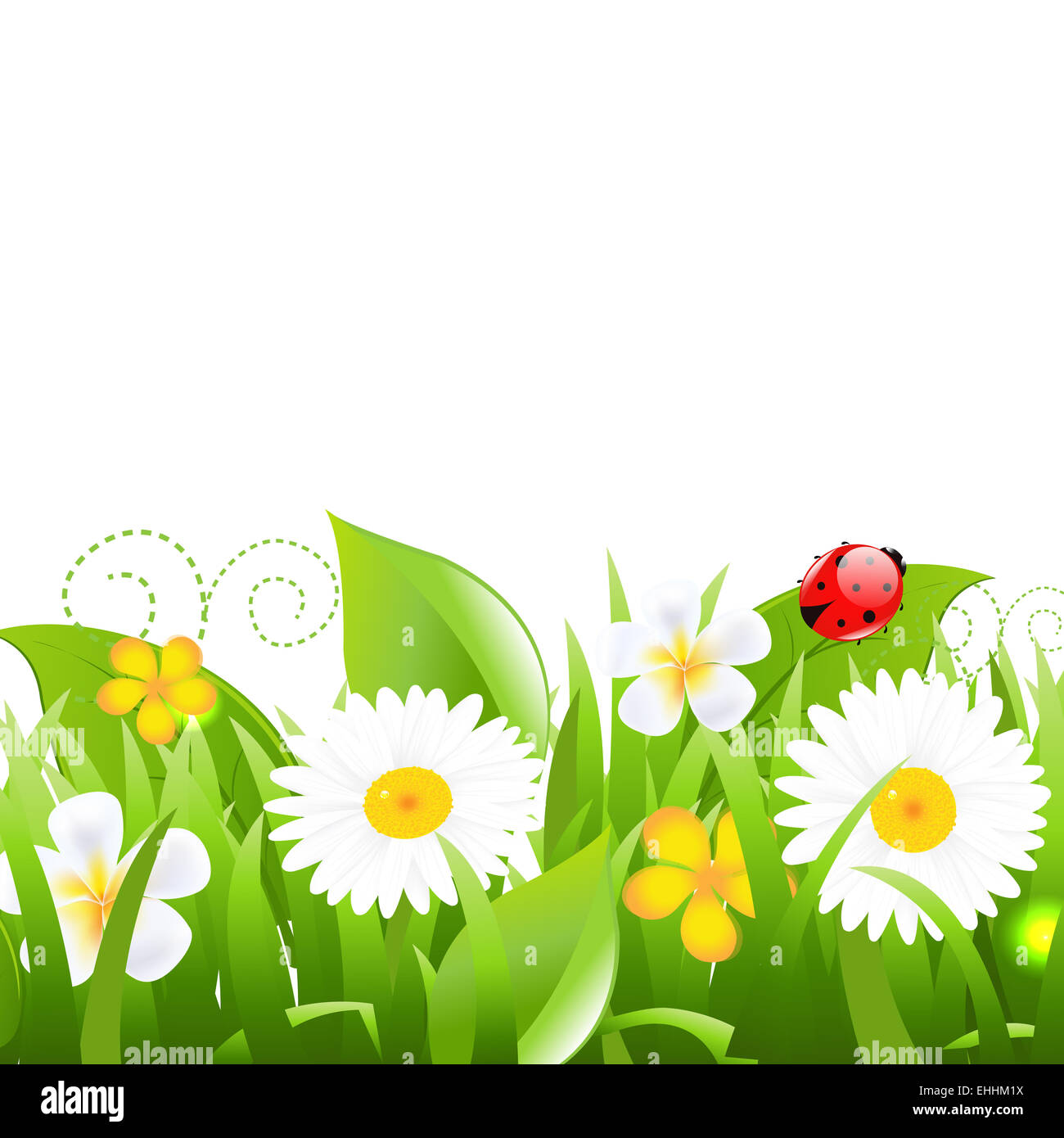 Flowers With Grass Leafs And Ladybug Stock Photo - Alamy
