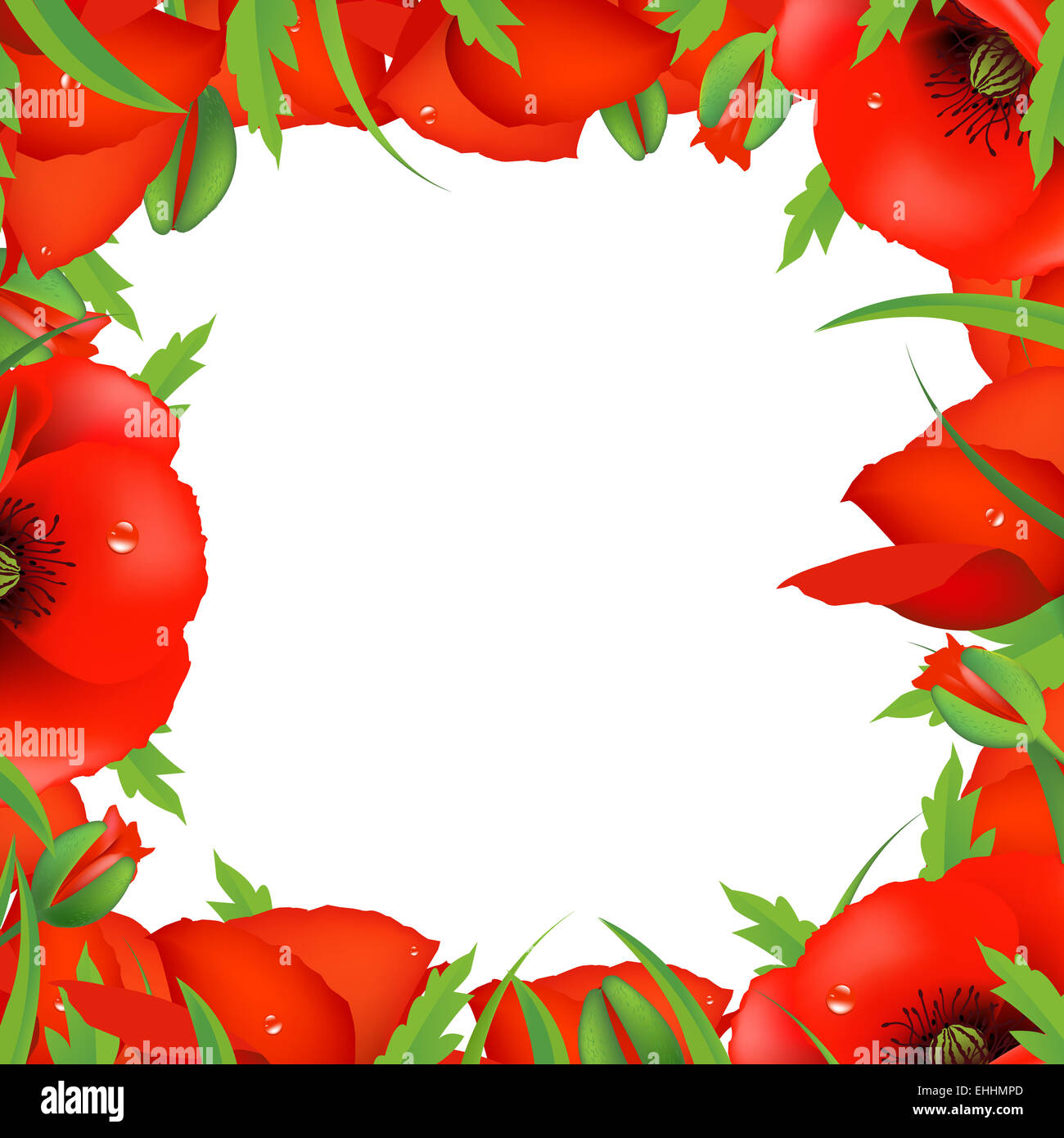Red Poppy Frame Stock Photo - Alamy