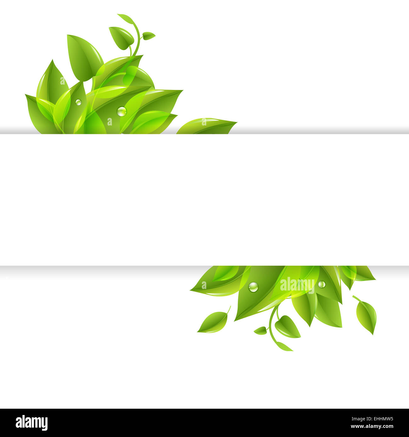 Paper With Green Leaves Stock Photo - Alamy