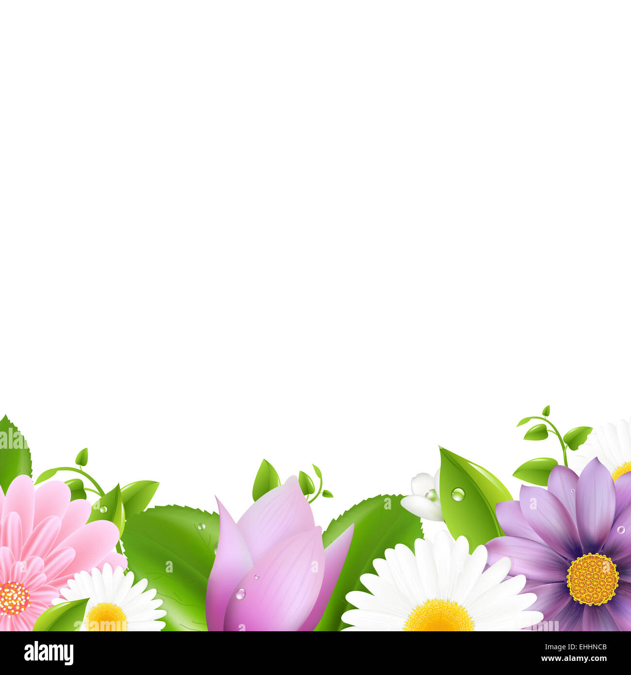 Summer flowers border hi-res stock photography and images - Alamy