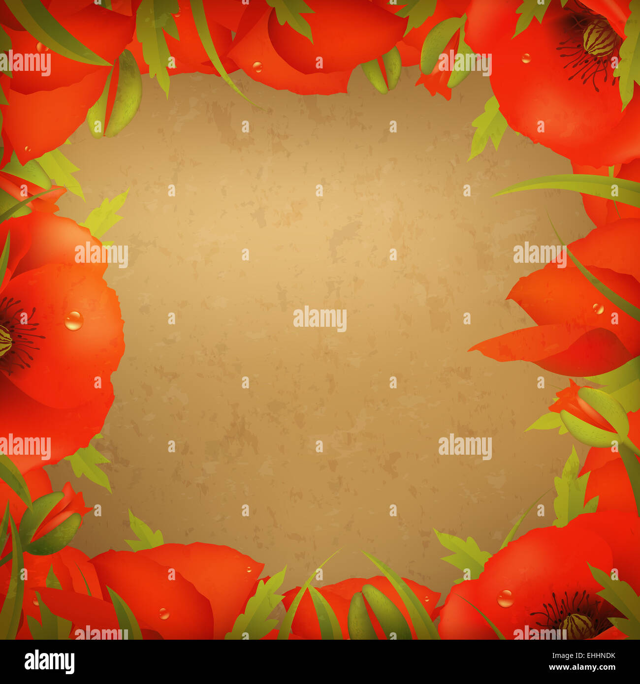 Vintage Paper And Red Poppy Stock Photo