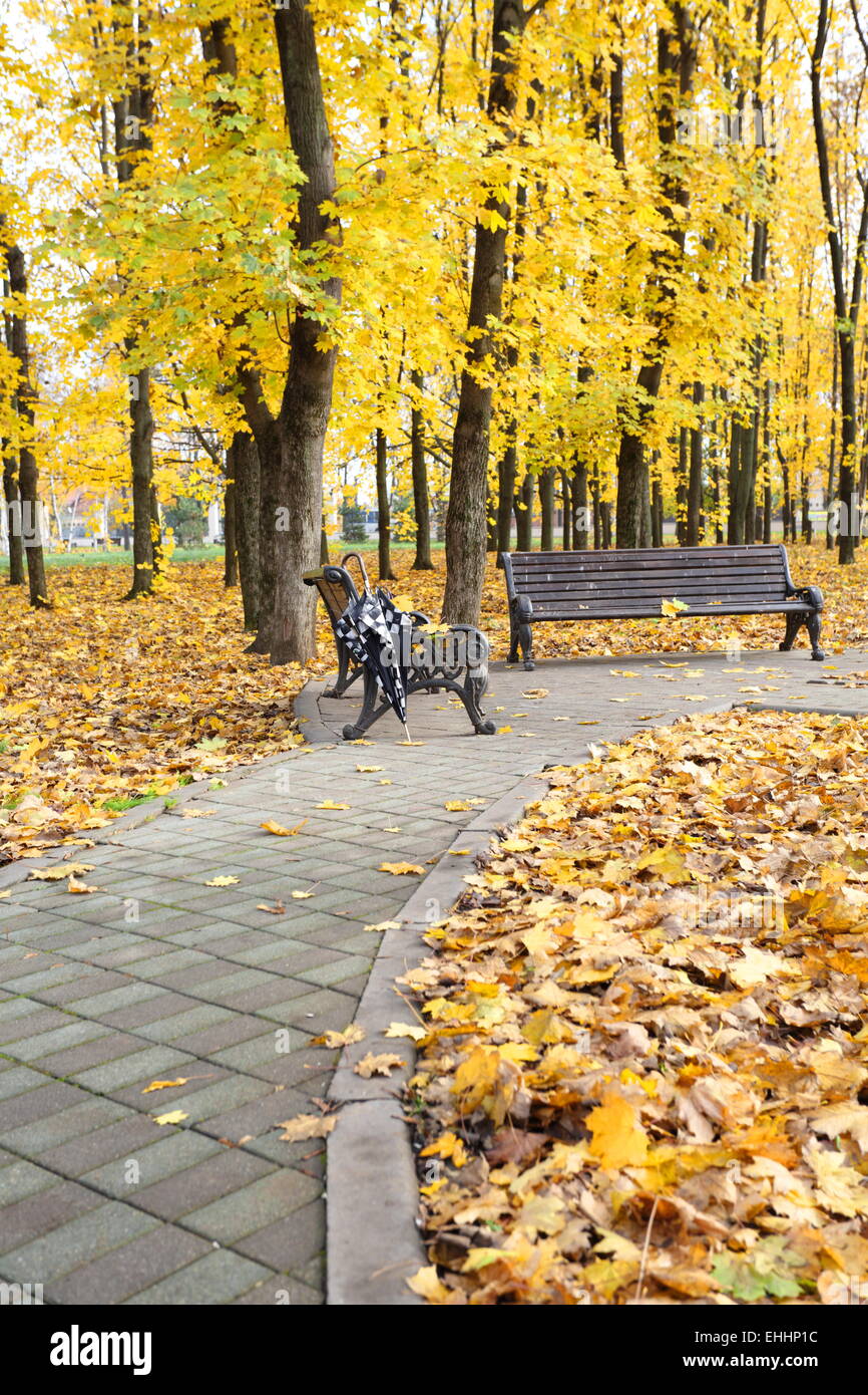 Old bench in the autumn park Stock Photo - Alamy