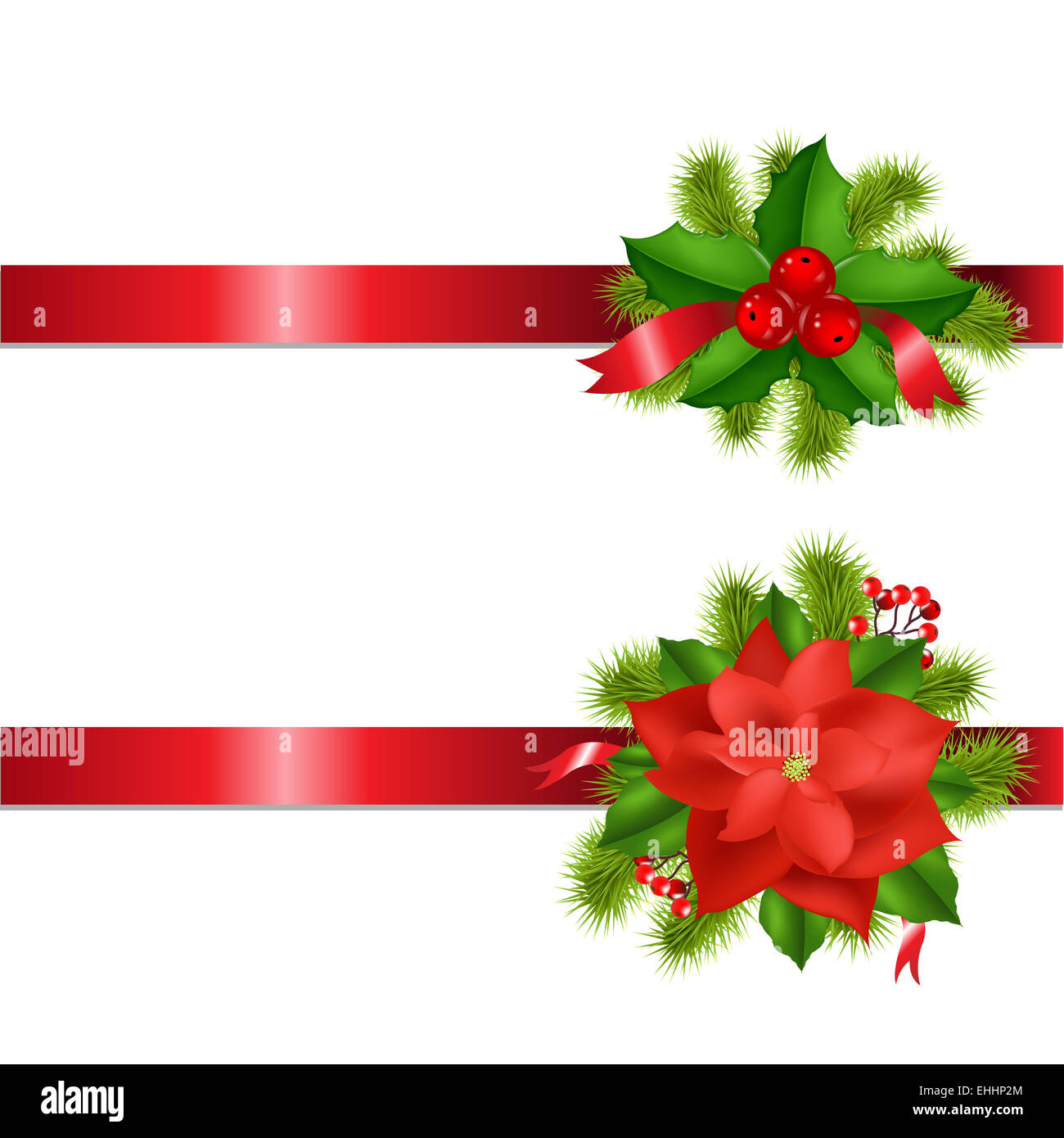 Winter flower border hires stock photography and images Alamy