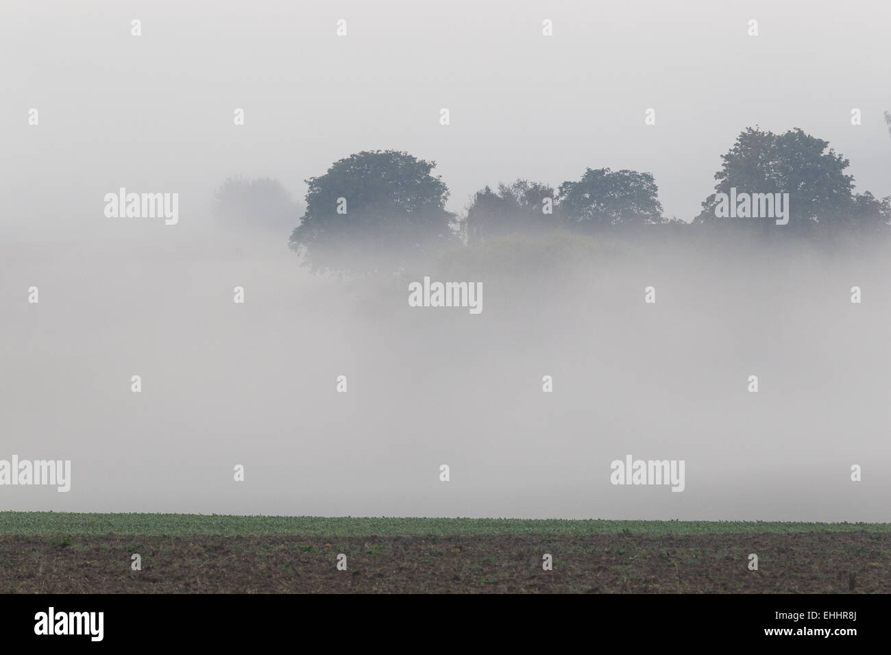 Mist over field hi-res stock photography and images - Alamy