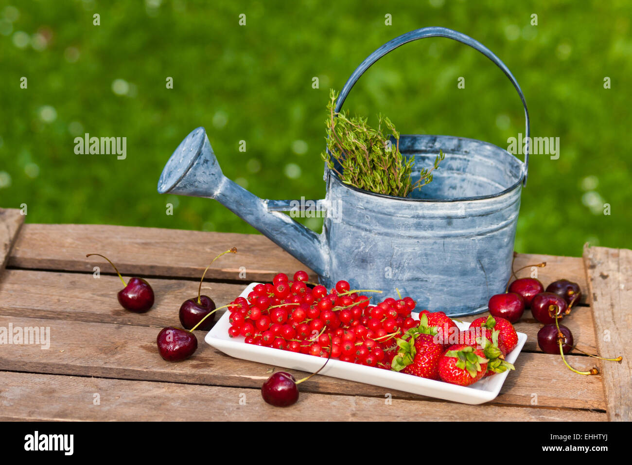 Fruits with watering can Stock Photo