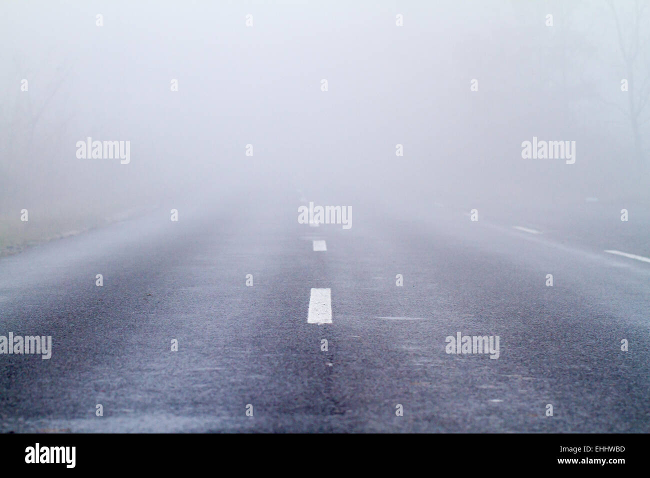 Asphalt road in an autumn fog Stock Photo - Alamy
