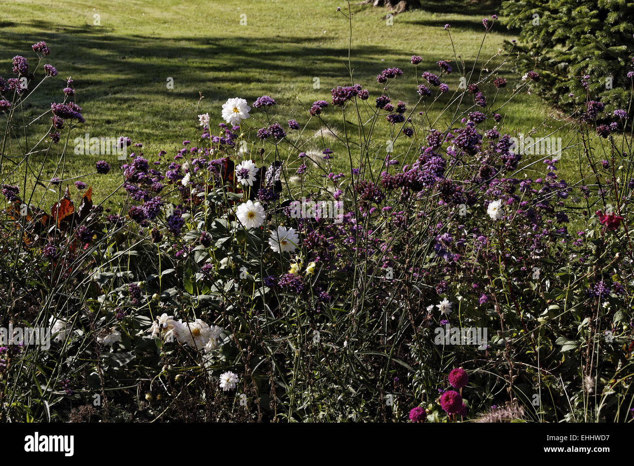Flowerbed in autumn in a park in Germany Stock Photo