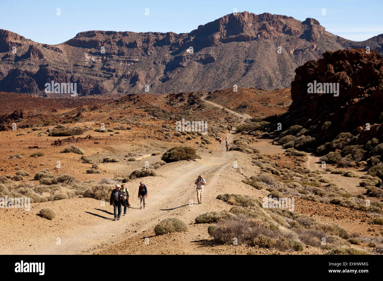 hiking at Teide National Park, Tenerife, Canary Islands, Spain, Europe Stock Photo
