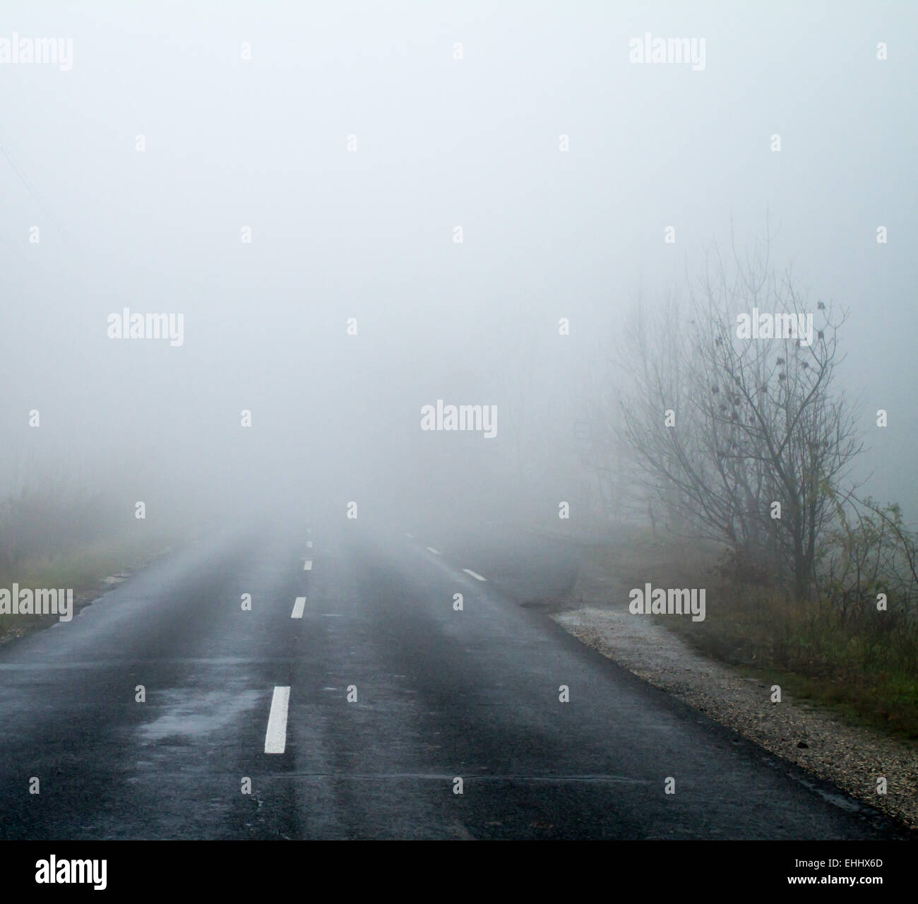 Asphalt road in an autumn fog Stock Photo - Alamy