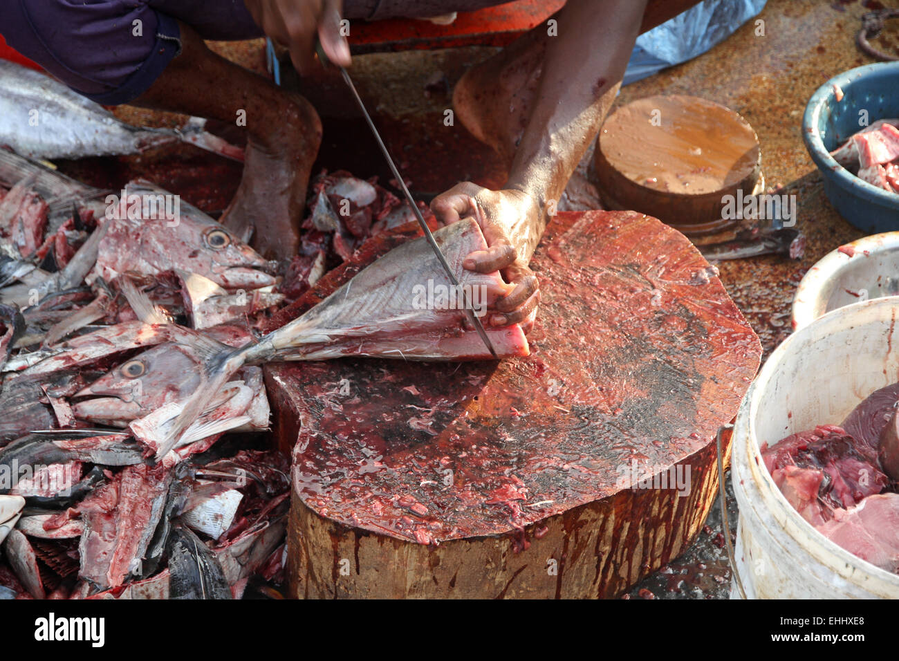 A man is cutting and preparing the fish at the fish market Stock Photo