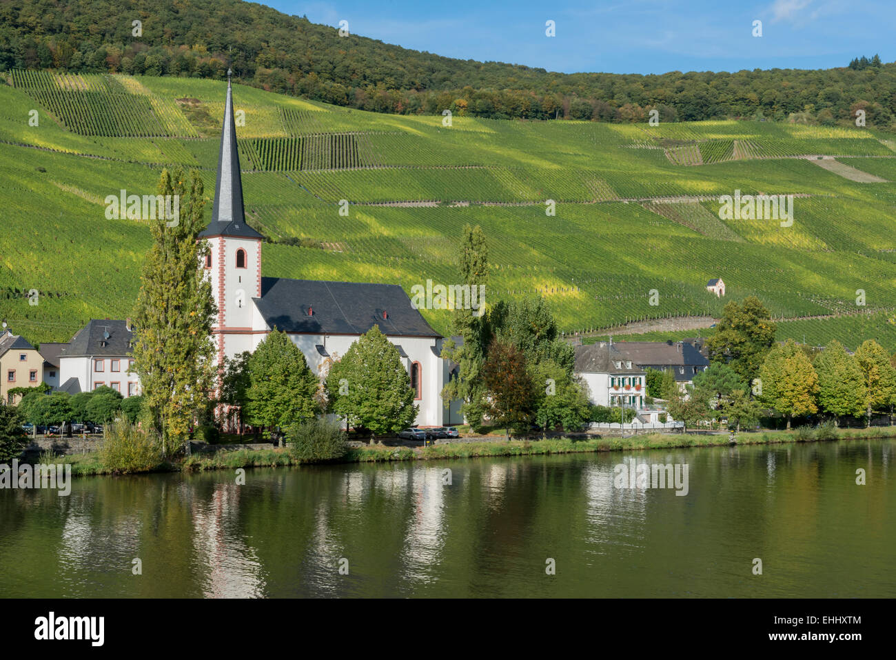 The wine village of Piesporter at the Mossele in Germany in autumn. Stock Photo