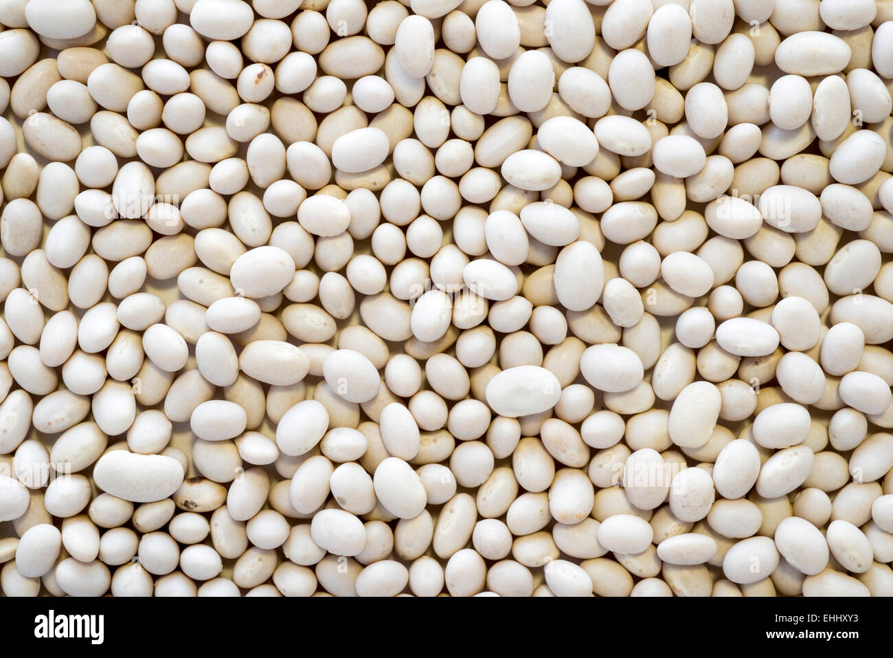 white kidney beans background Stock Photo