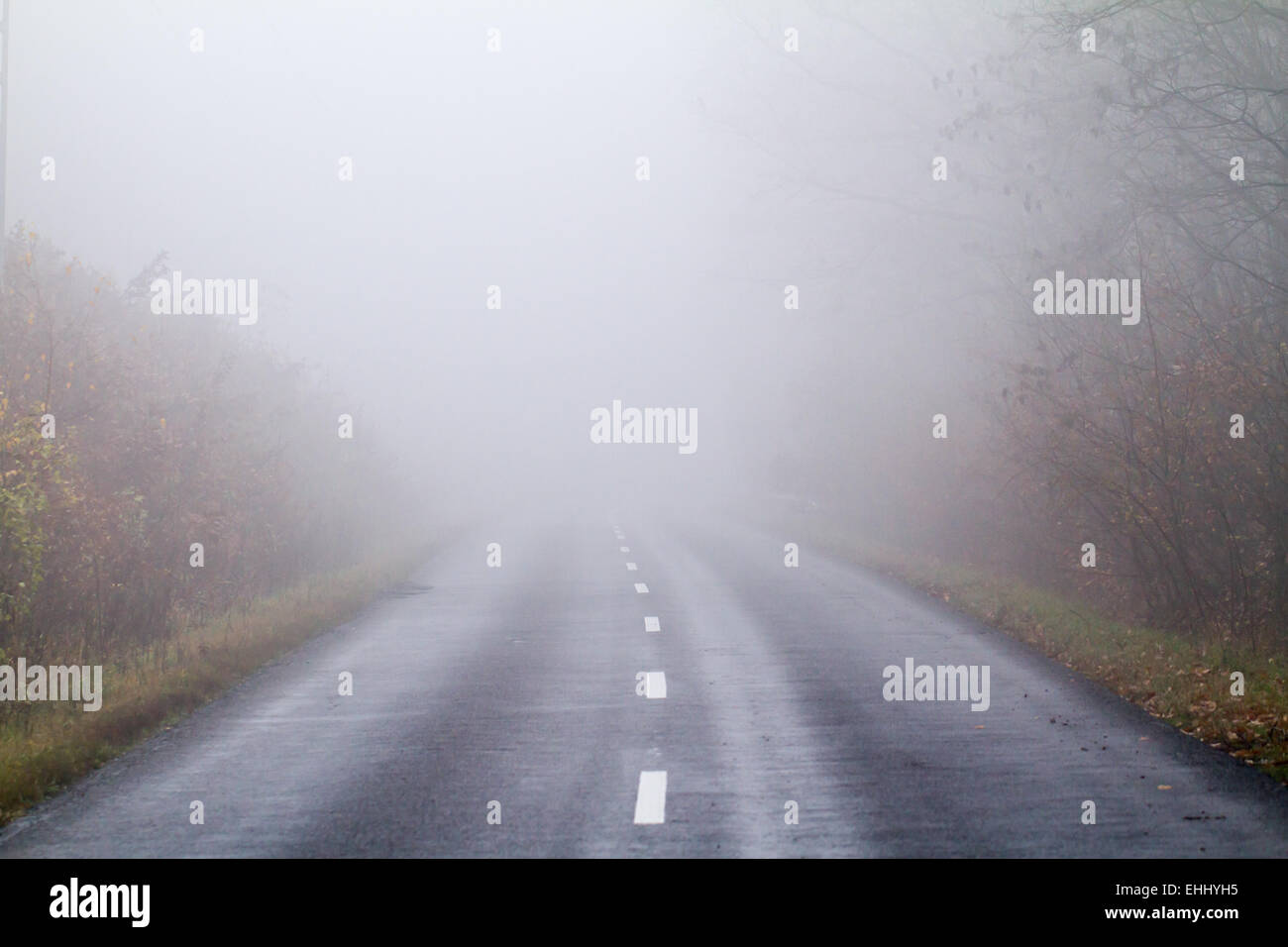 Asphalt road in an autumn fog Stock Photo - Alamy