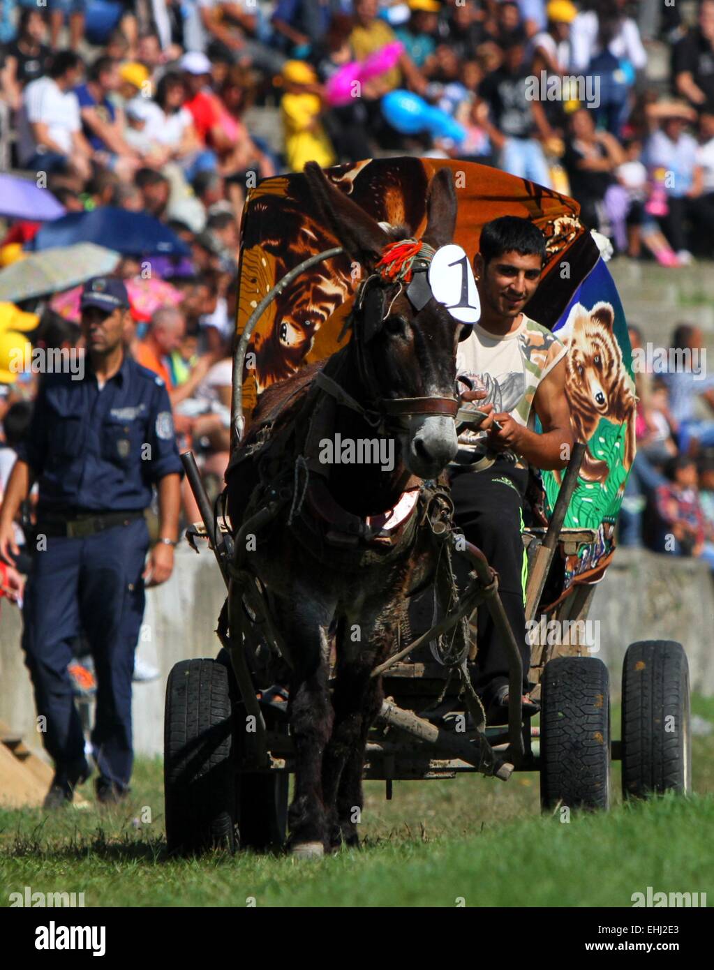 Competitors ride their donkey carts during a race competition in the ...