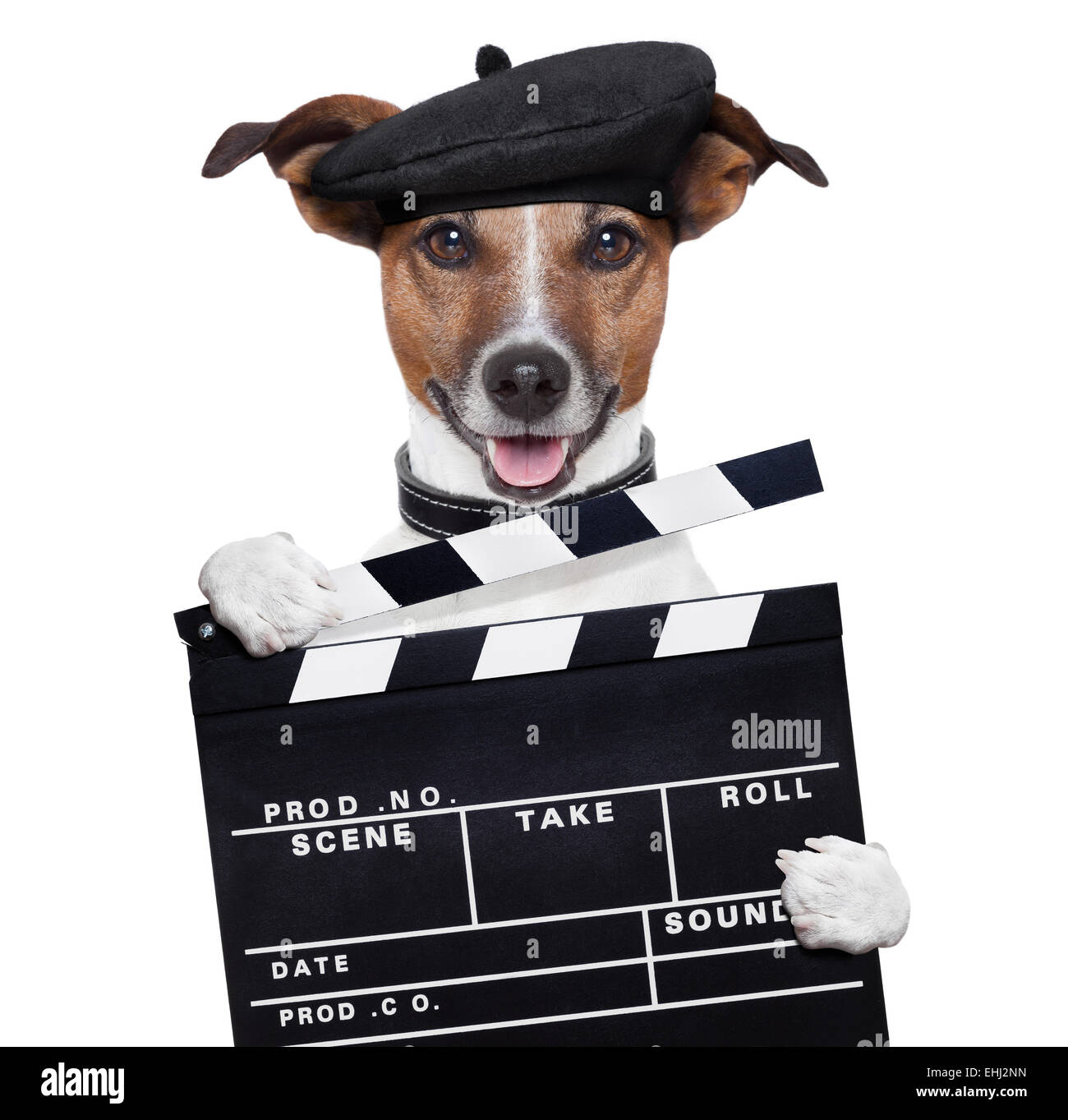 movie clapper board director dog Stock Photo - Alamy