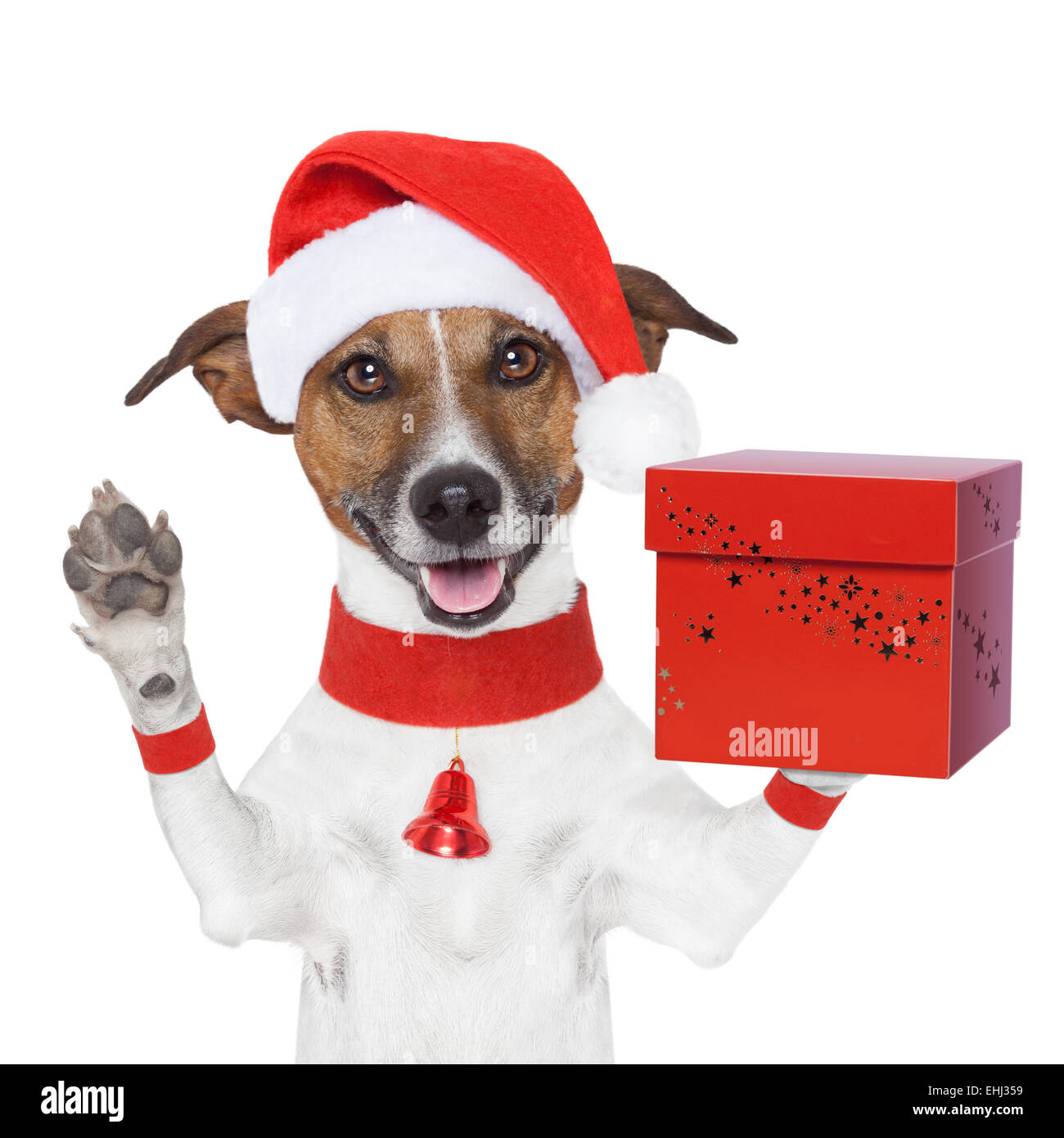 Puppy present box hires stock photography and images Alamy