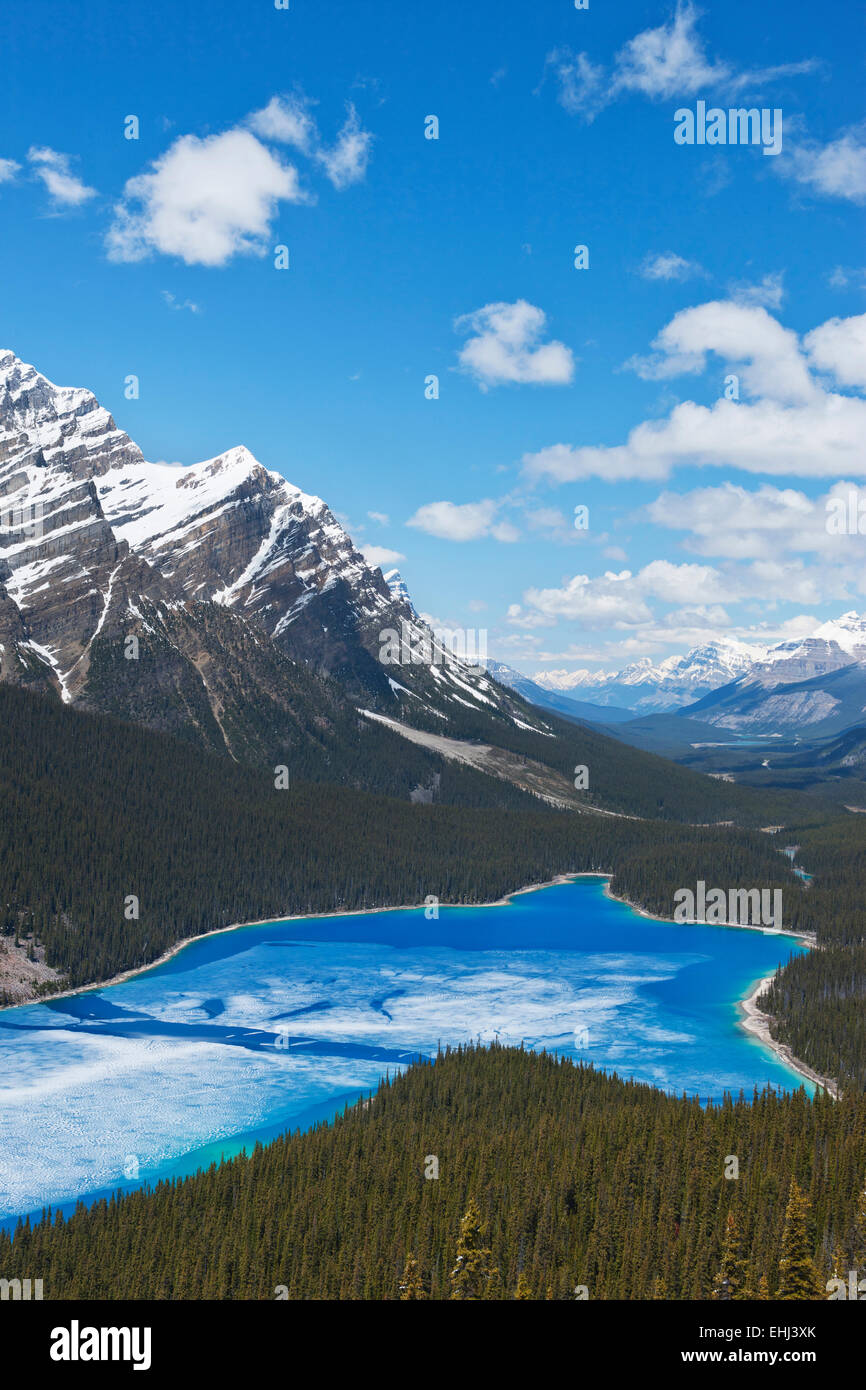 PEYTO LAKE BANFF NATIONAL PARK ALBERTA CANADA Stock Photo - Alamy
