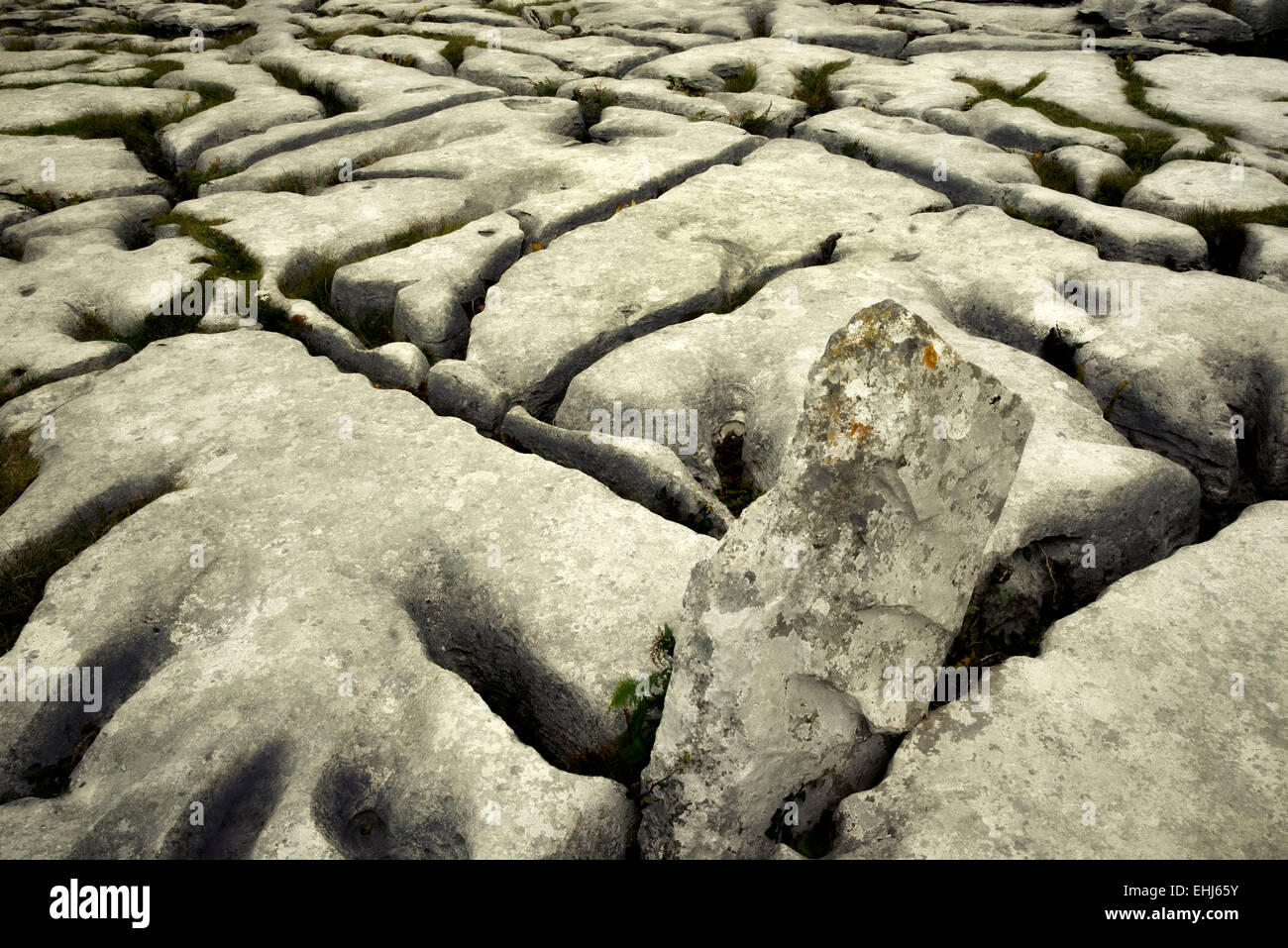 Karst rock formation near the Megalithic tomb called Poulnabrone. The Burren, Ireland Stock Photo