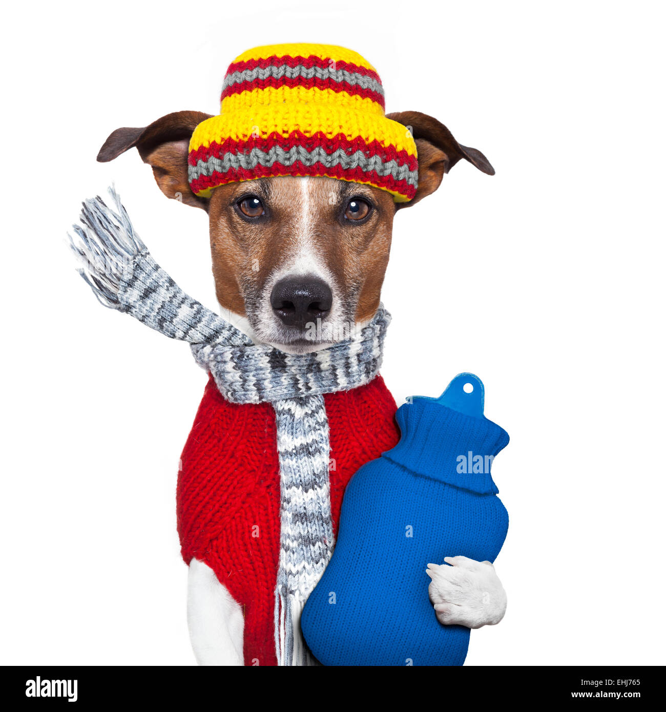 Hot dog hat hires stock photography and images Alamy
