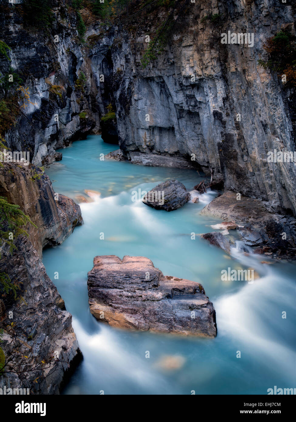 Tokumm Creek, Marble Canyon. Kooteny National Park, Canada Stock Photo