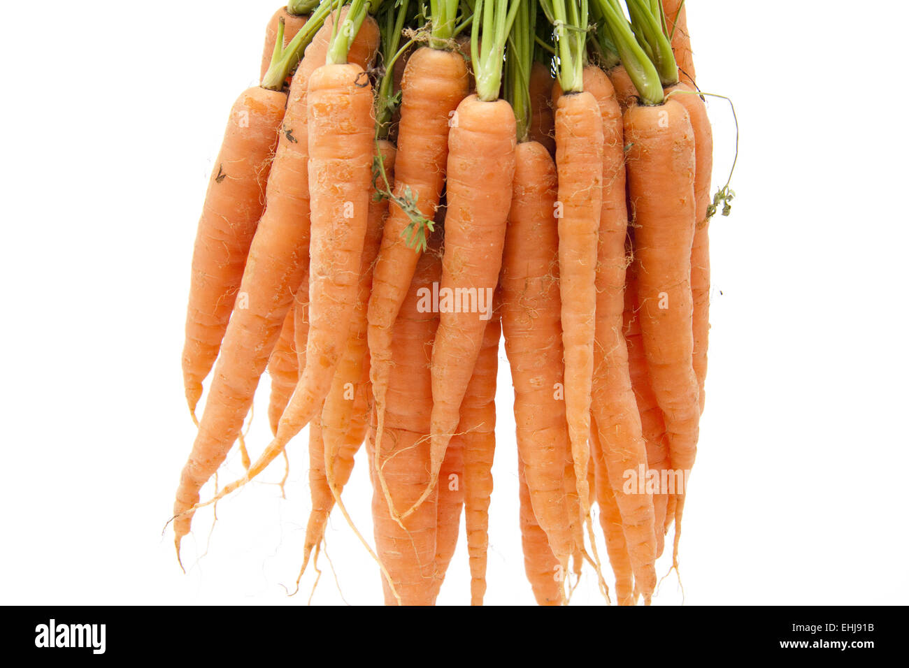 Carrots hanging Stock Photo