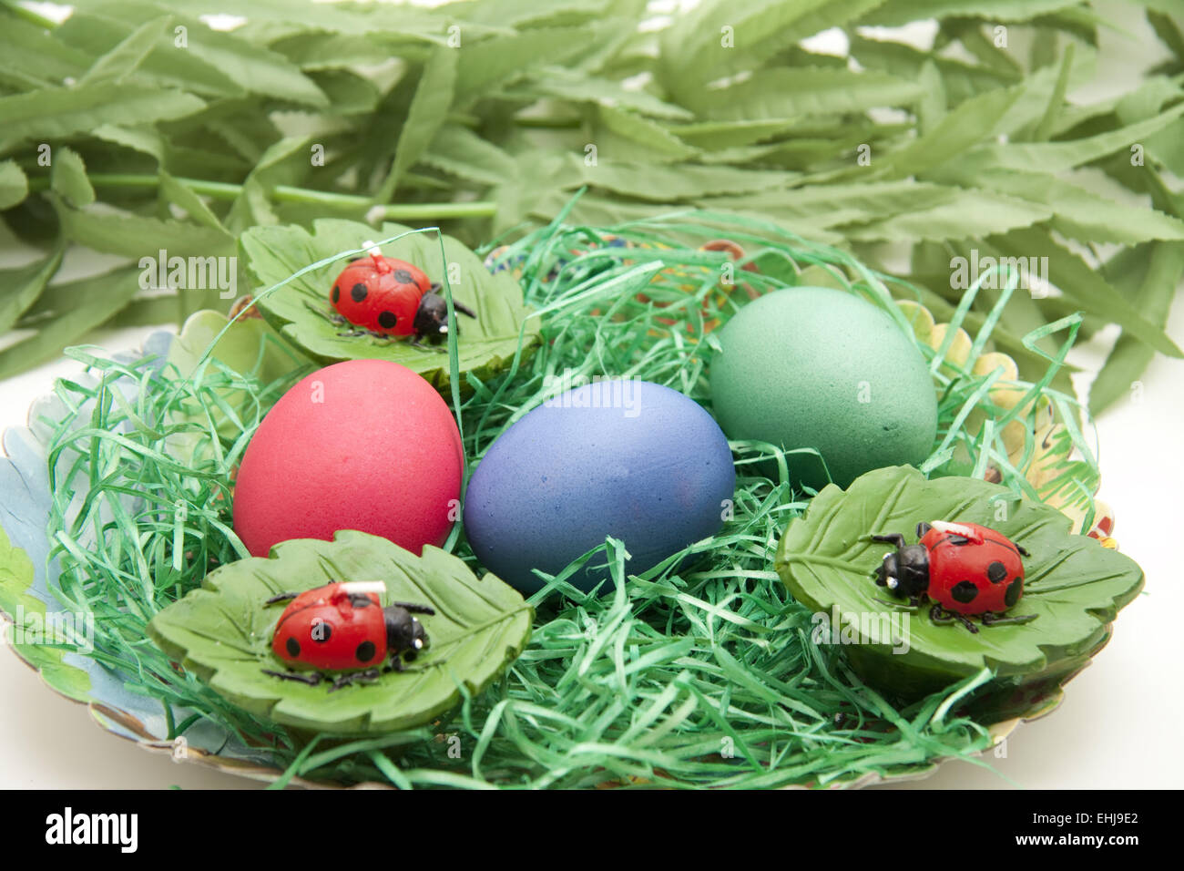 Easter eggs with ladybug Stock Photo