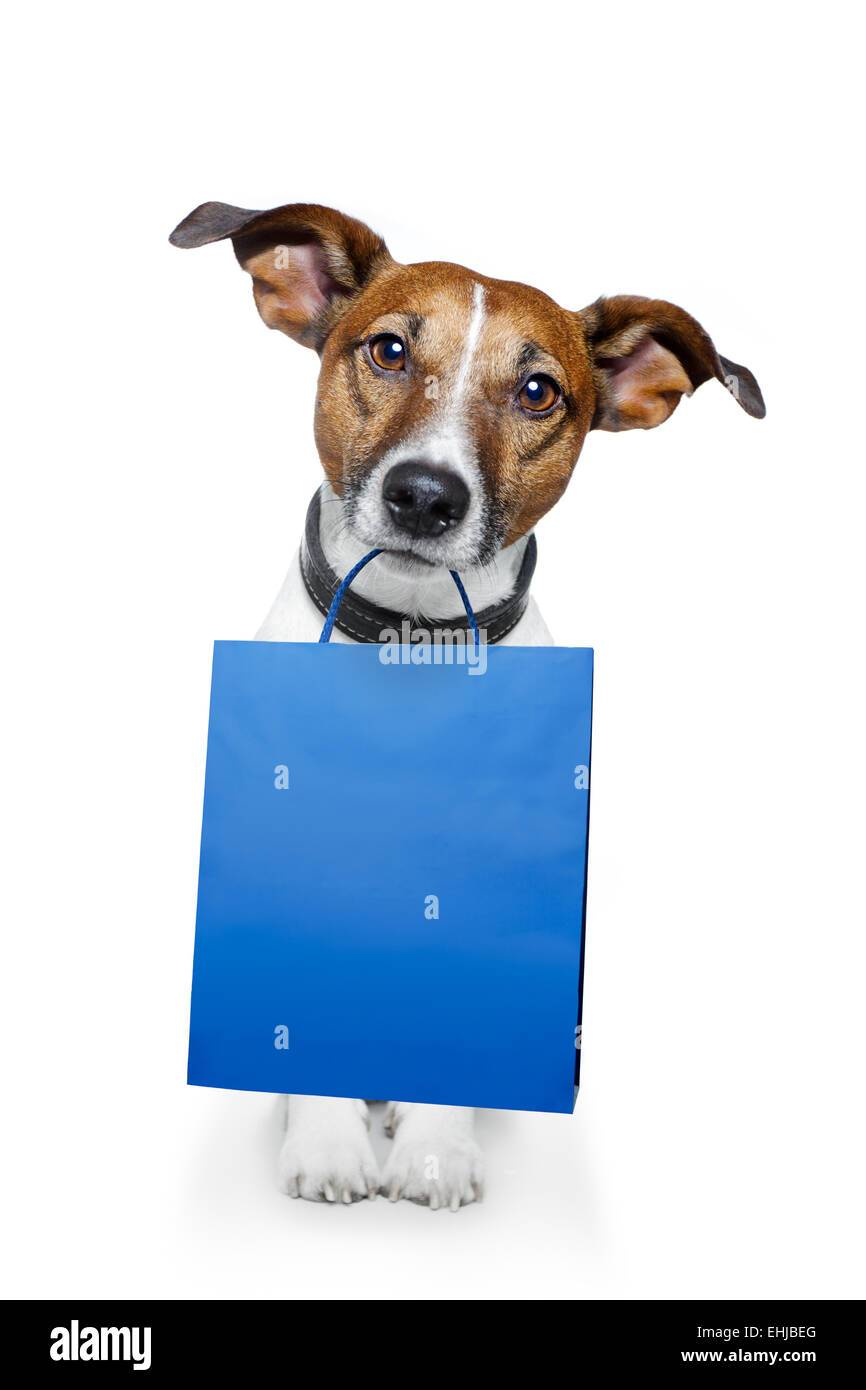 shopping bag dog Stock Photo Alamy