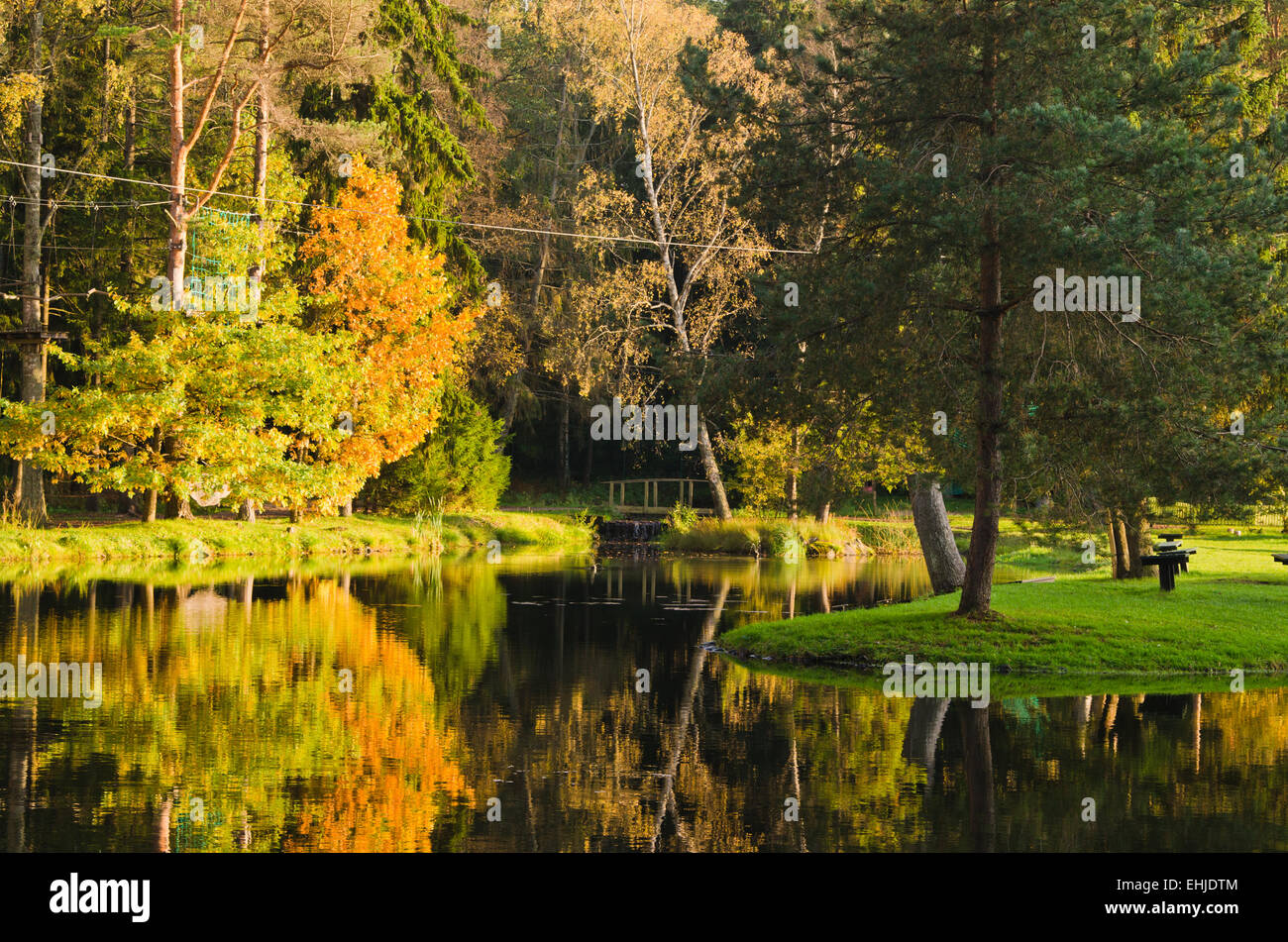 Park of a pond hi-res stock photography and images - Alamy