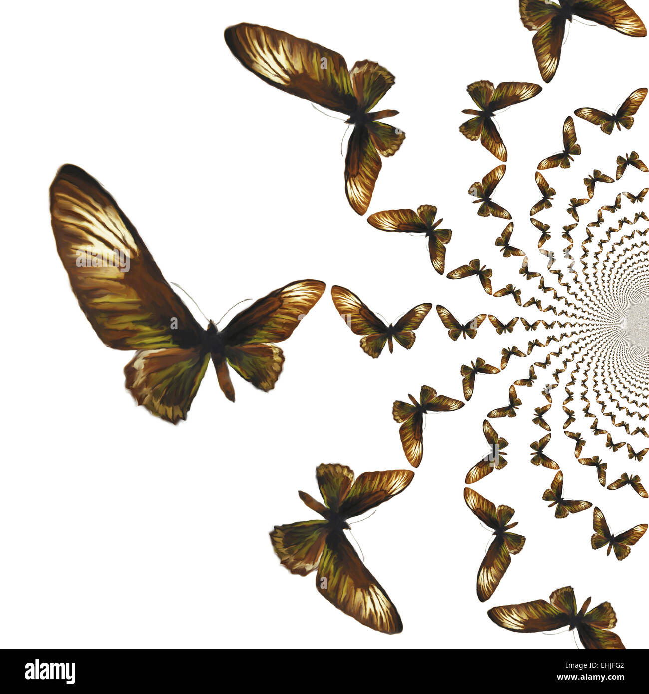 Kaleidoscope Of Butterflies High Resolution Stock Photography and