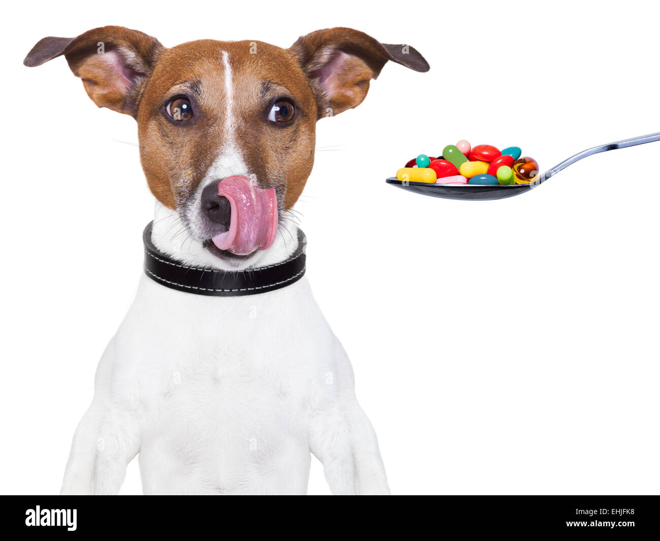 dog pills diet Stock Photo Alamy