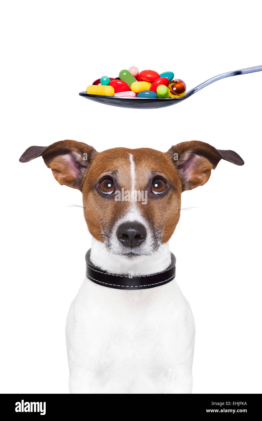 dog pills diet Stock Photo Alamy